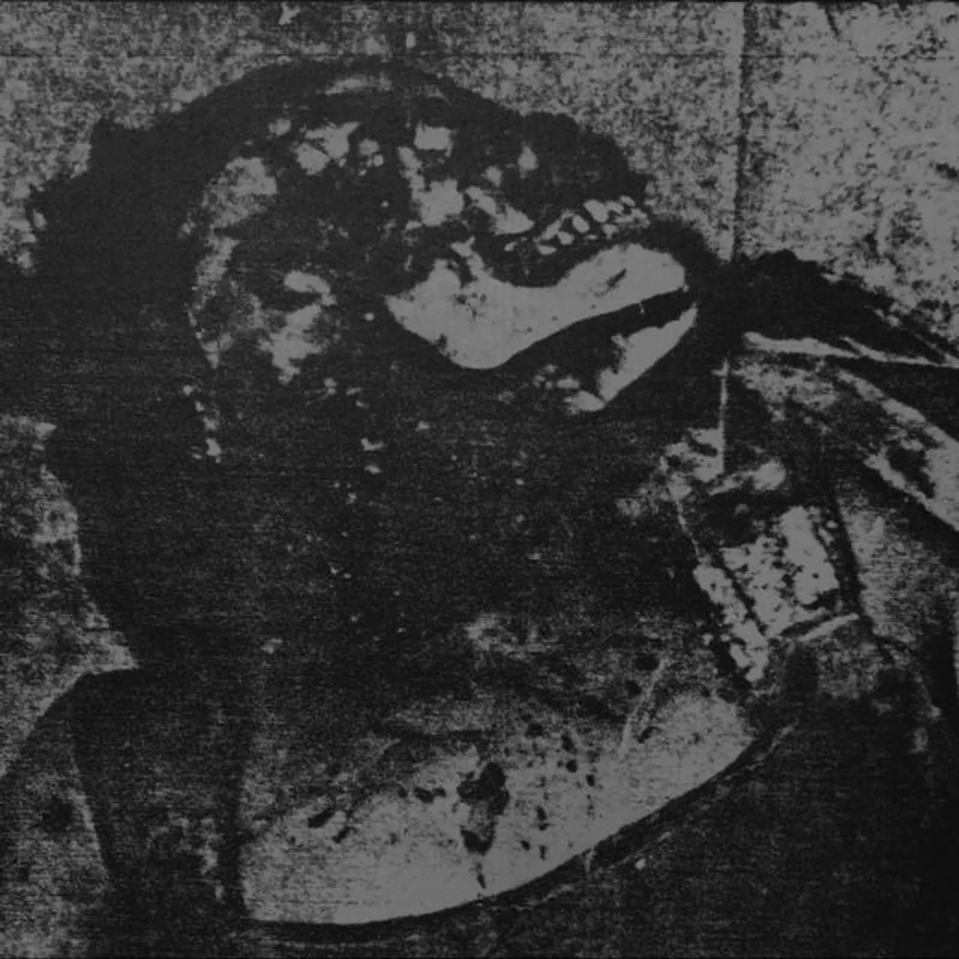 Mutilated Tongue Brand Page