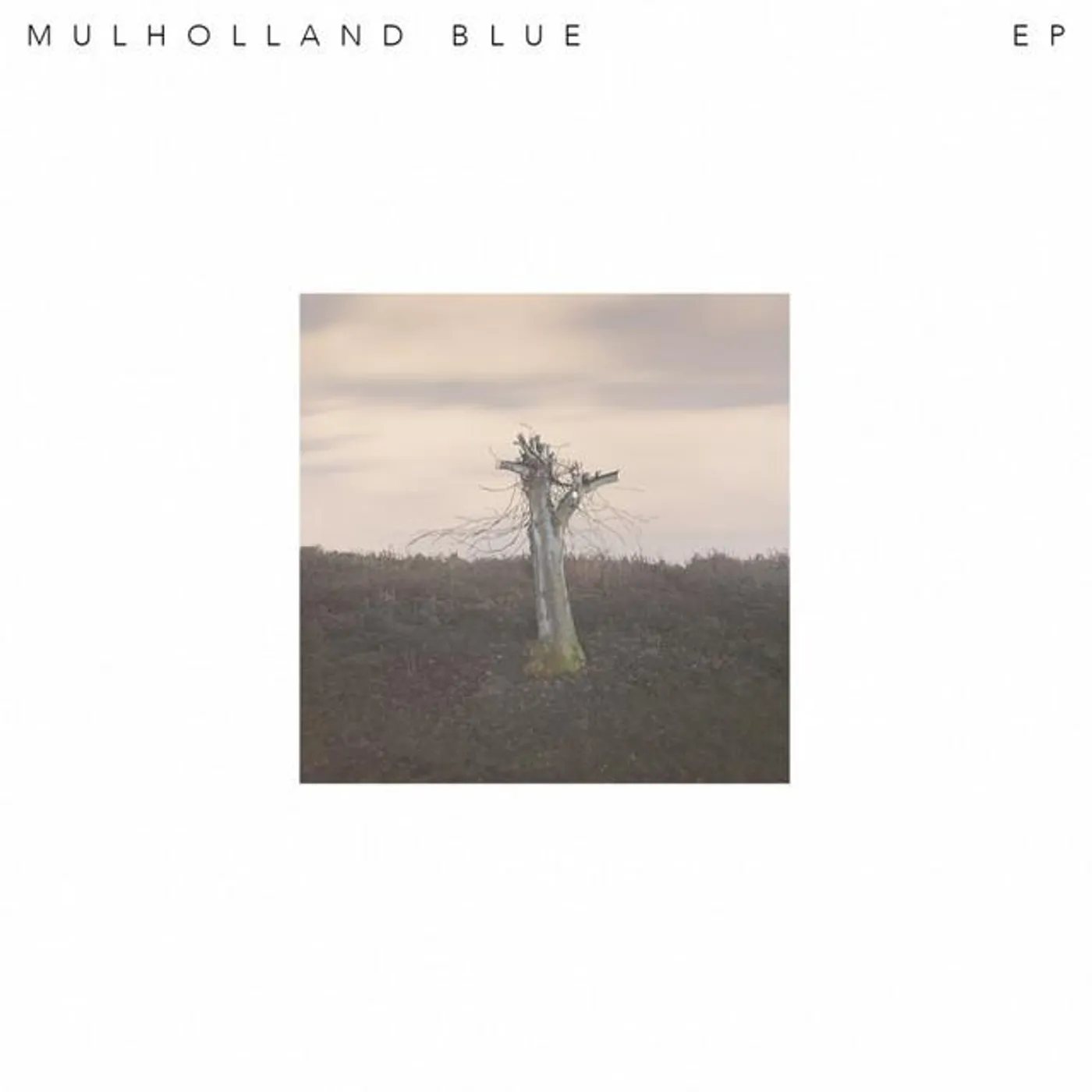 Mulholland Blue