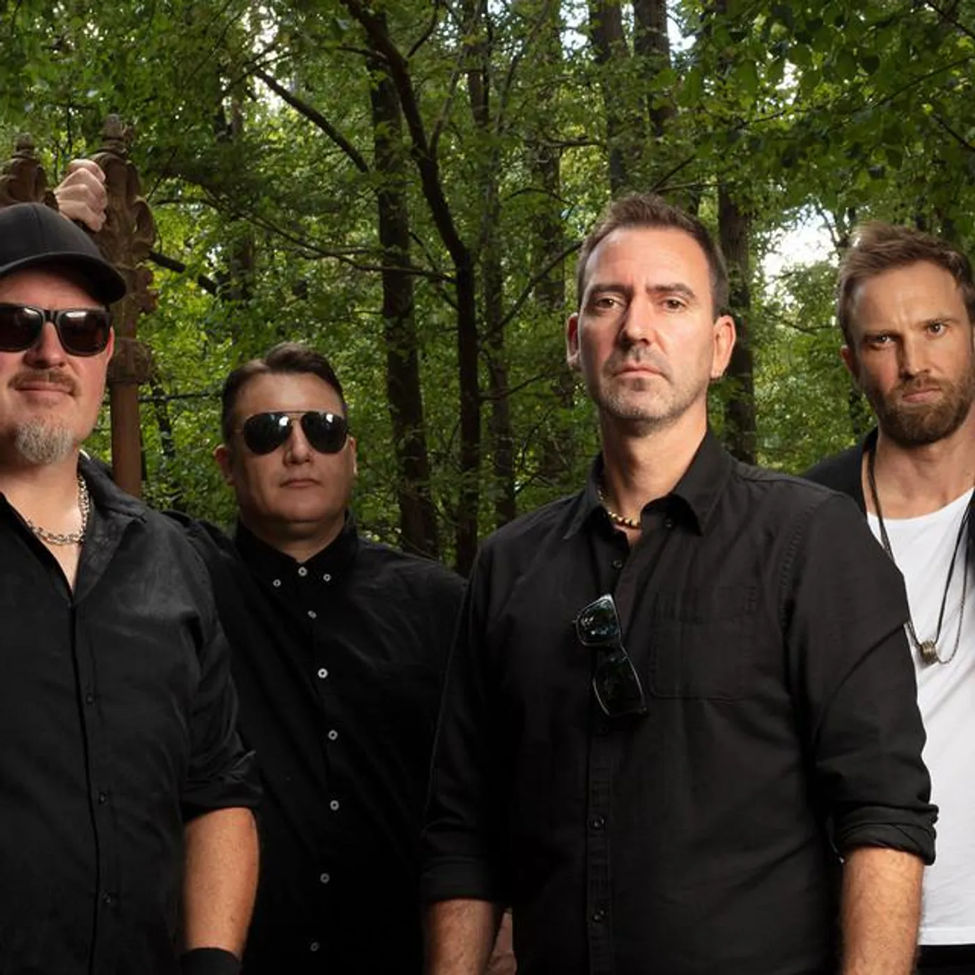 Mushroom Giant Brand Page