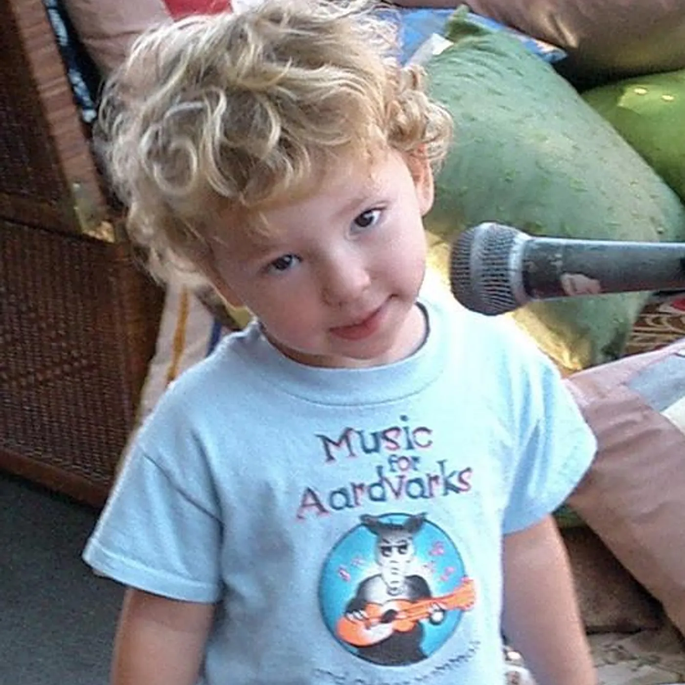 Music for Aardvarks and Other Mammals Brand Page