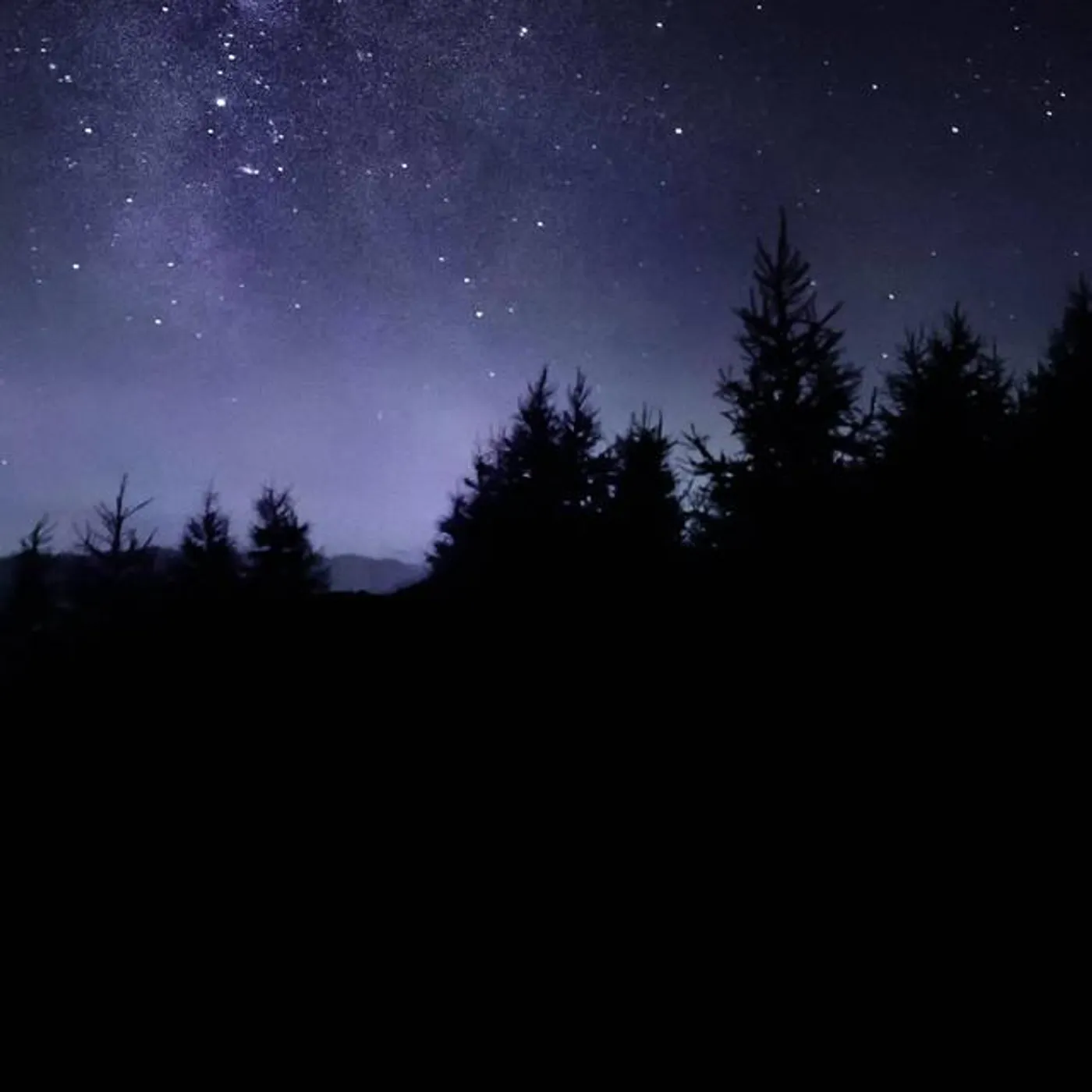 Music For Absolute Sleep Brand Page