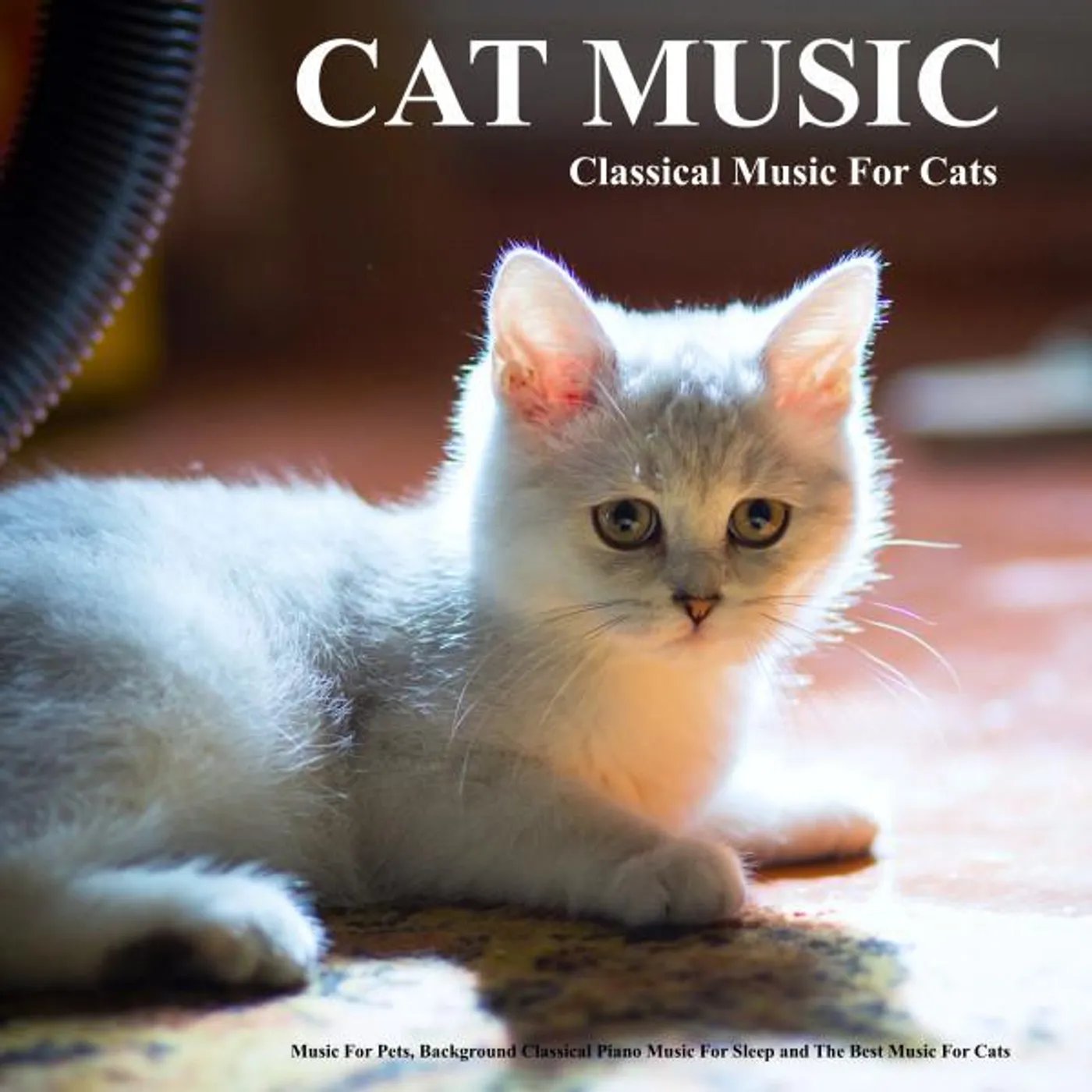 Music For Pets Brand Page
