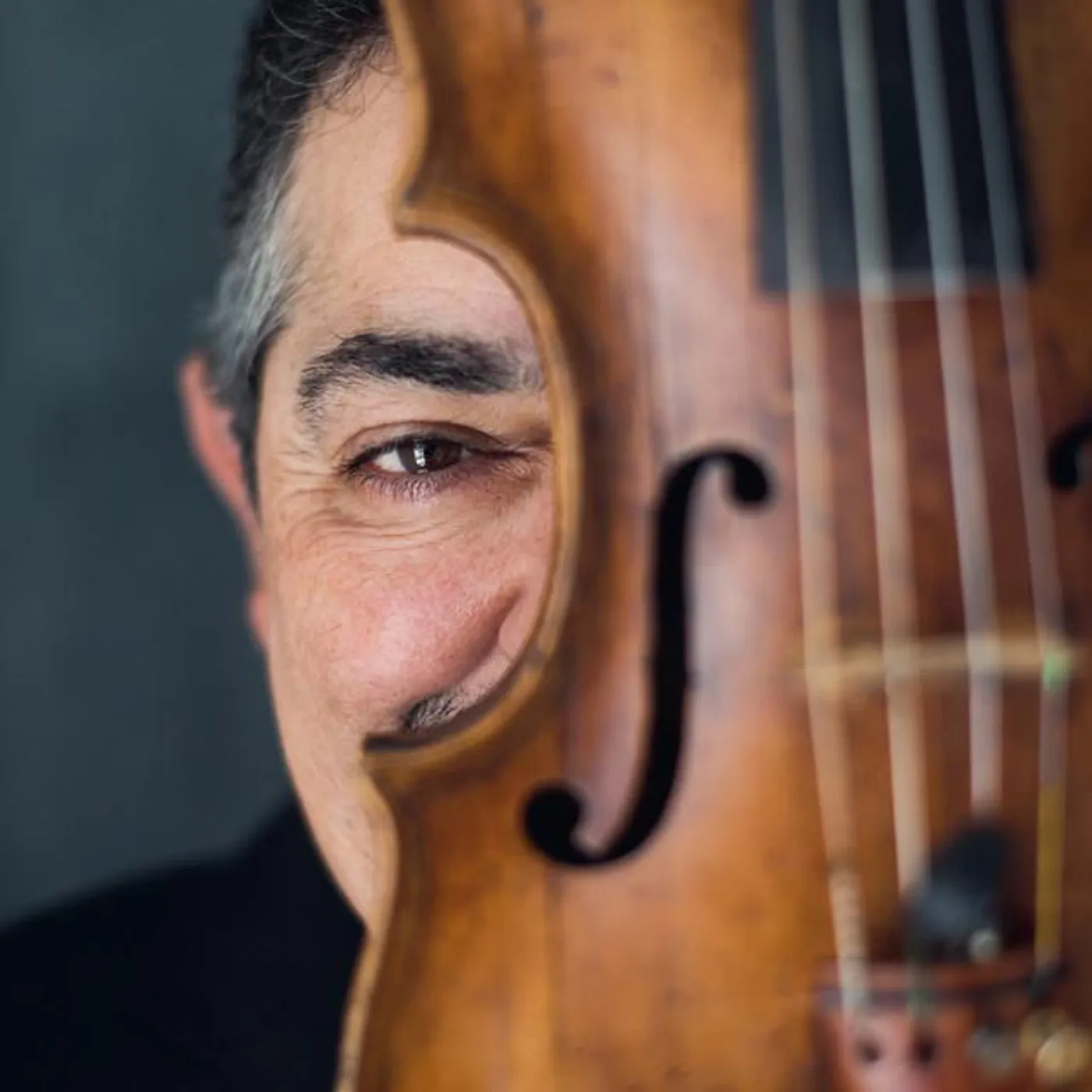 Musica Vitae Brand Page