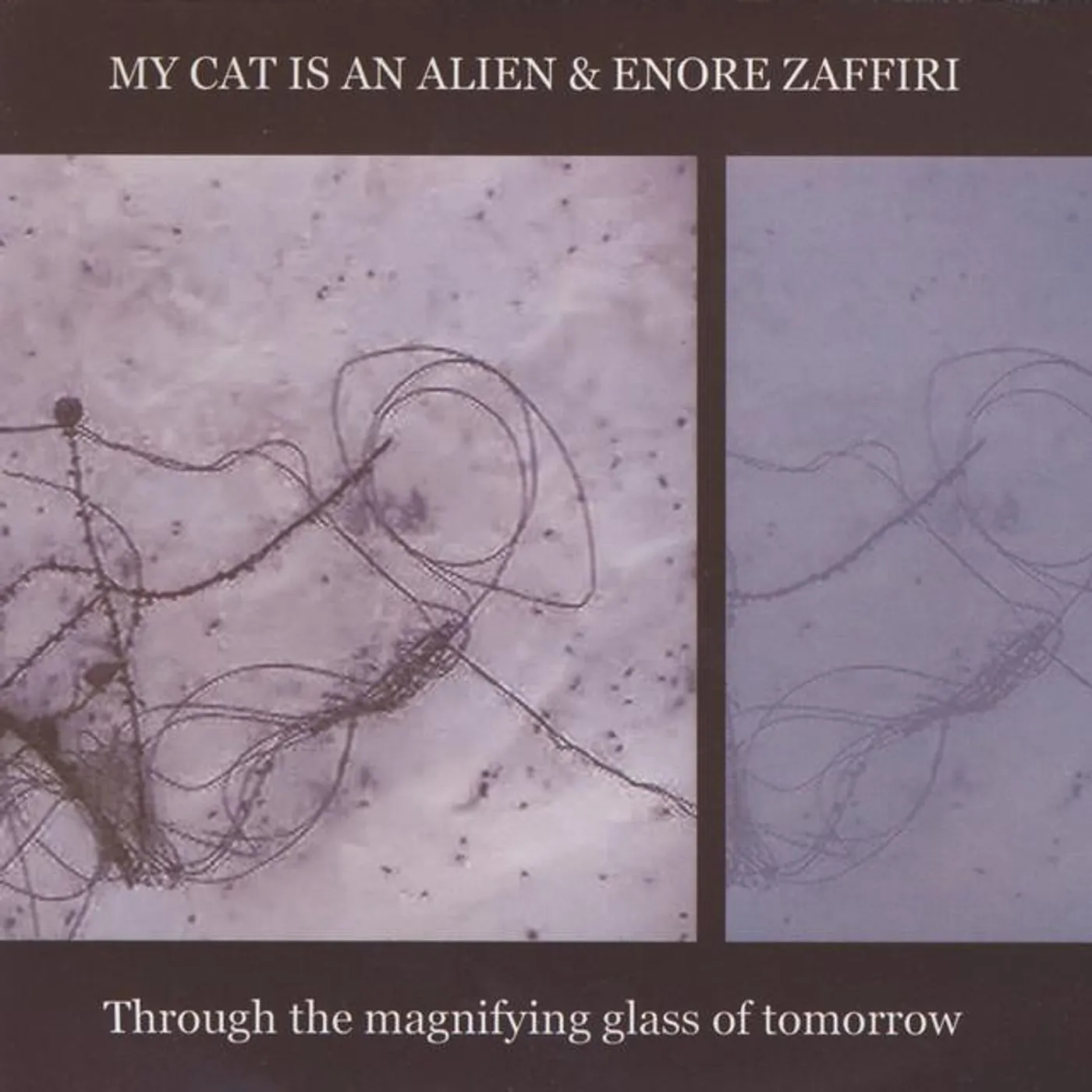 My Cat is An Alien & Enore Zaffiri