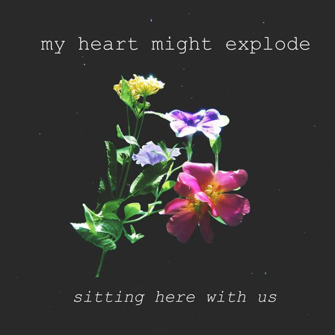 My Heart Might Explode