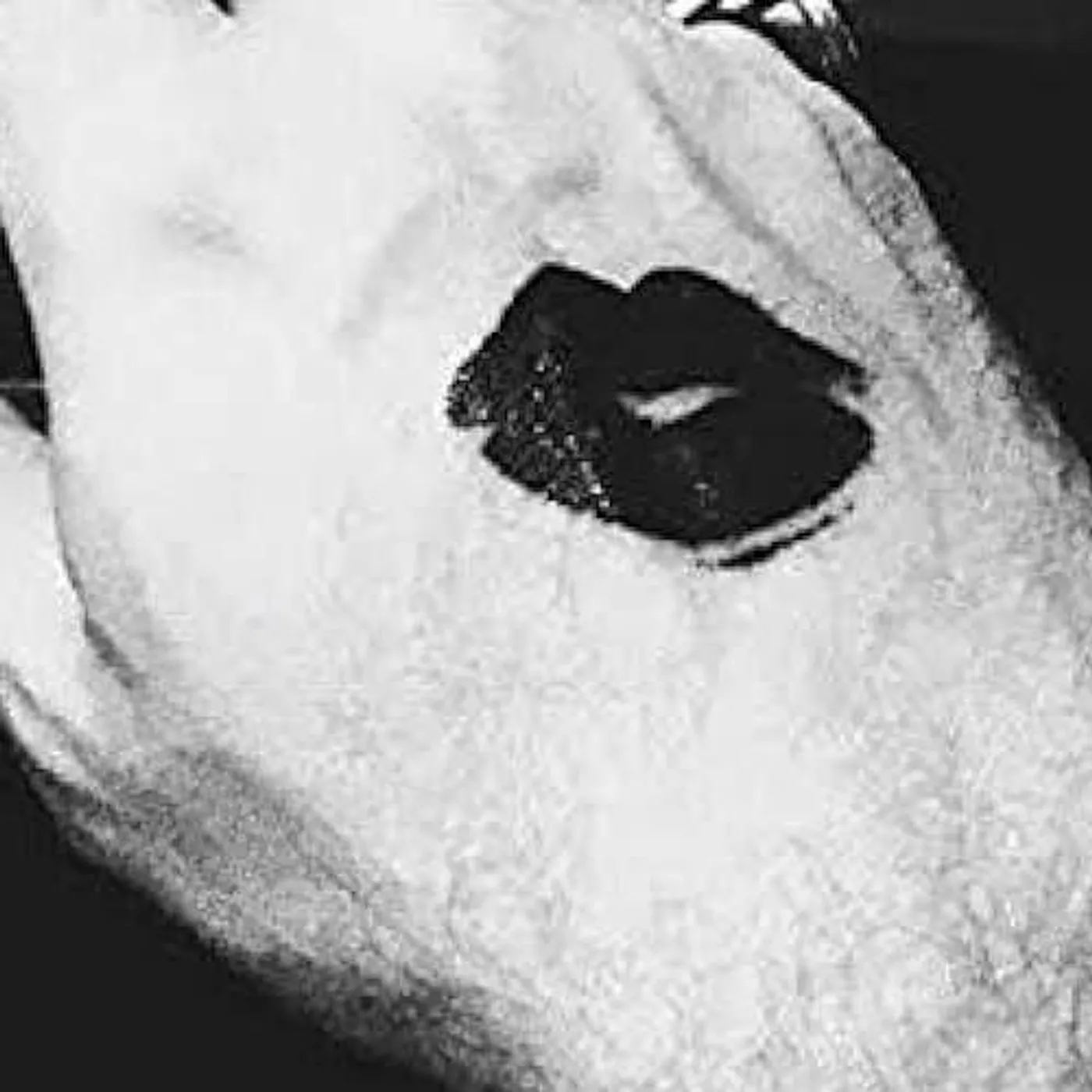 My Jerusalem Brand Page