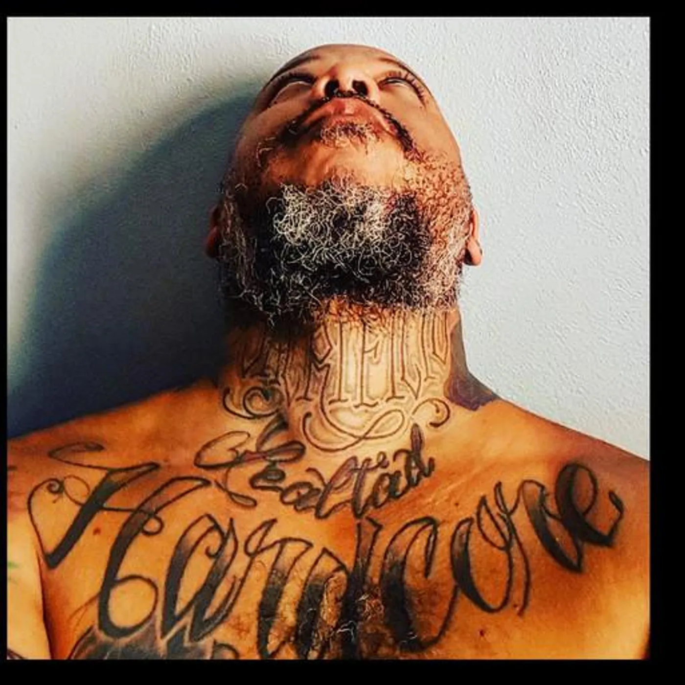 Nébula Nice Brand Page