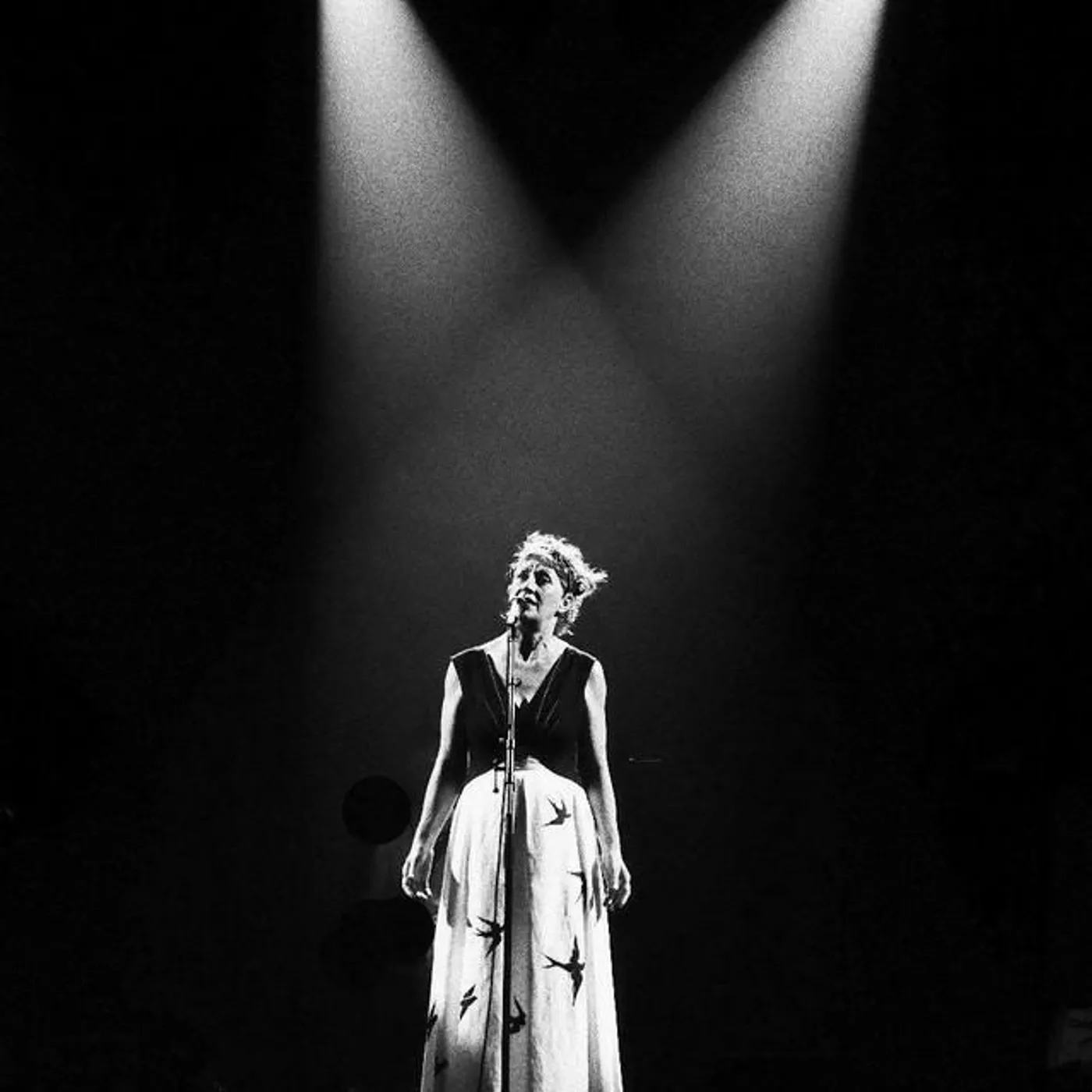 Ná Ozzetti Brand Page