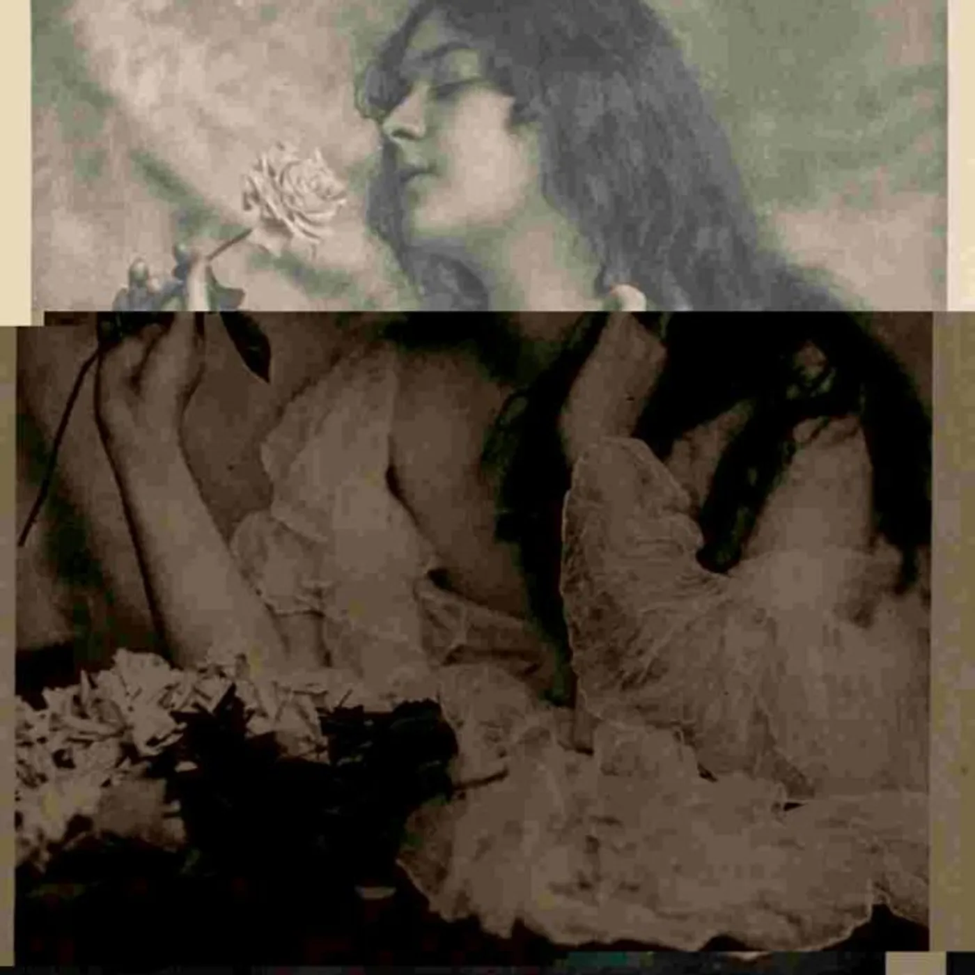 No Love In The House Of Gold Brand Page