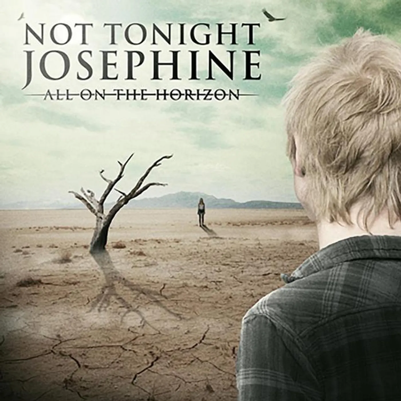 Not Tonight Josephine Brand Page