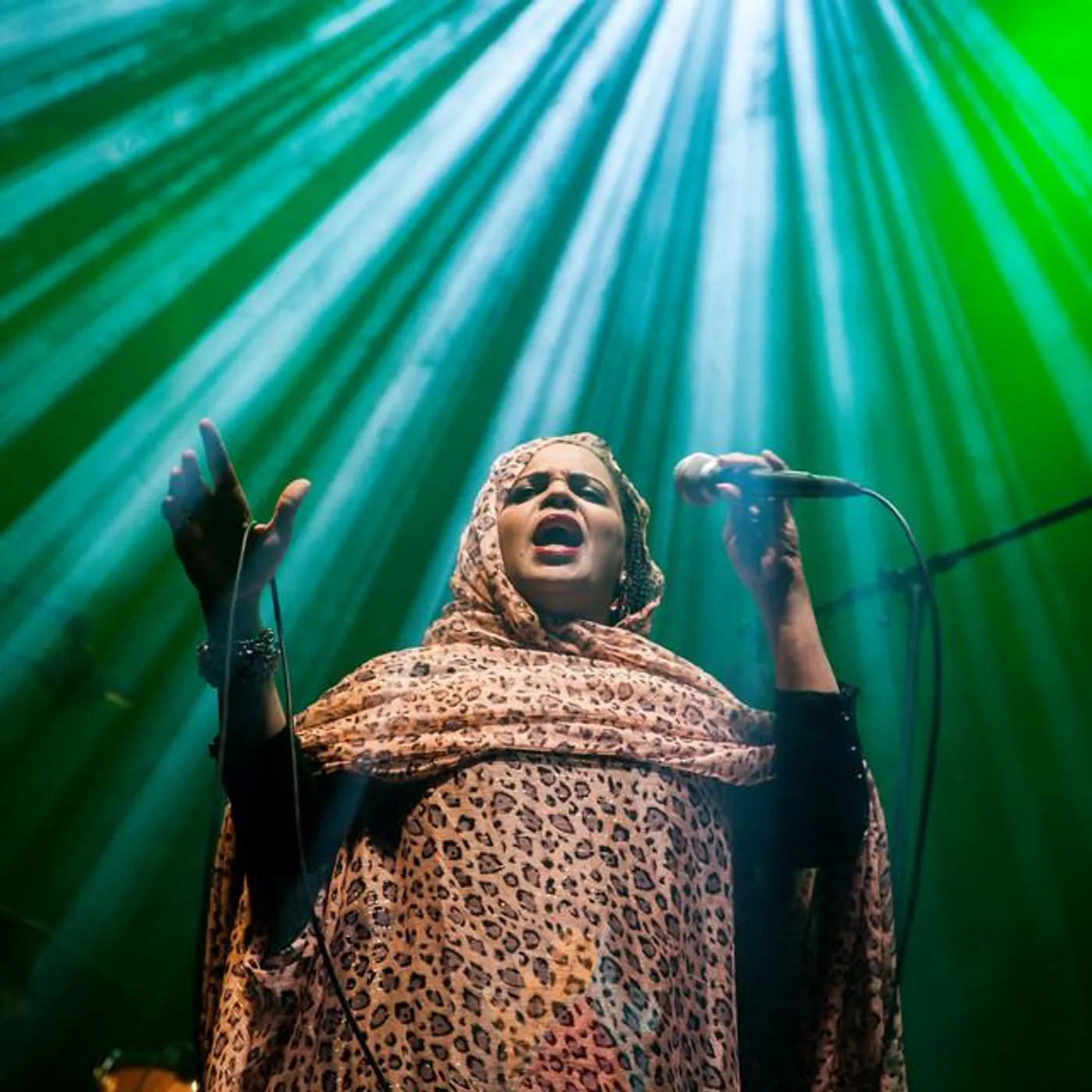 Noura Mint Seymali Brand Page