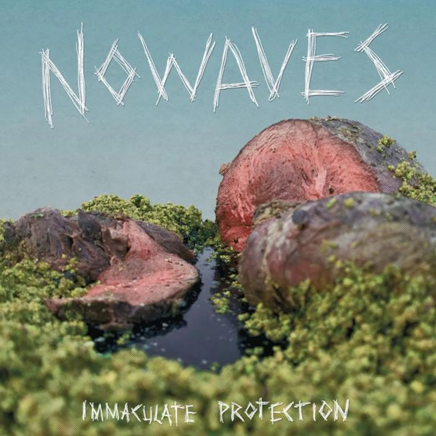 Nowaves