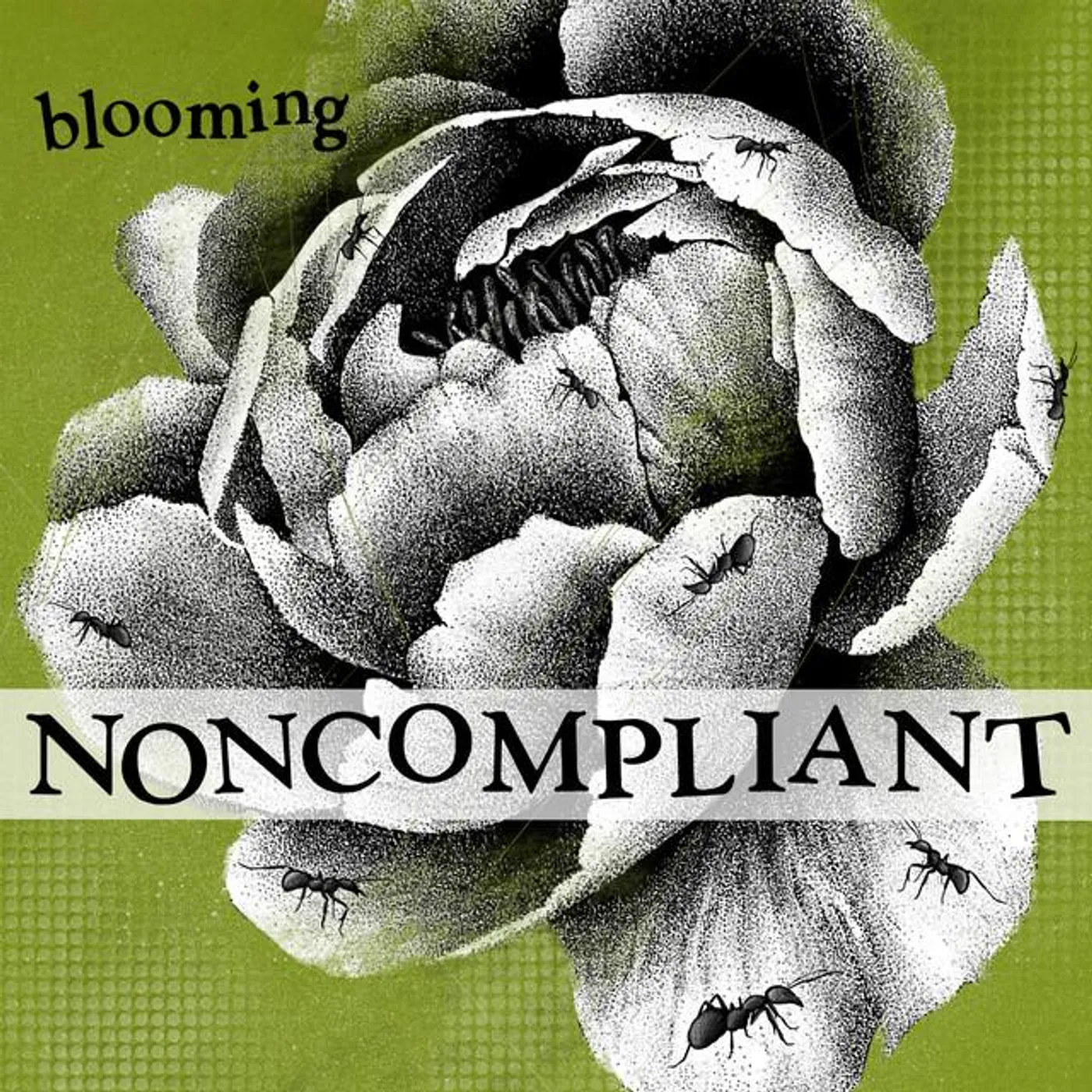 NonCompliant