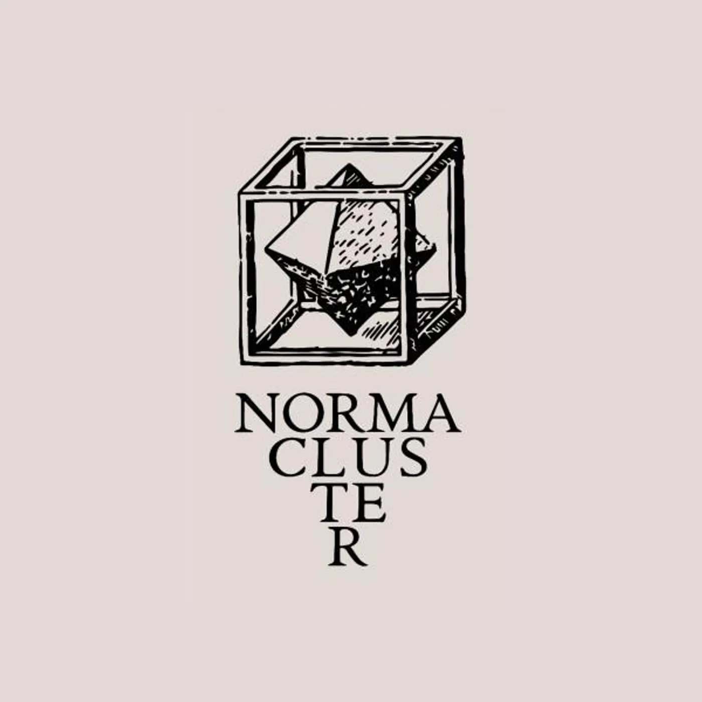 Norma Cluster
