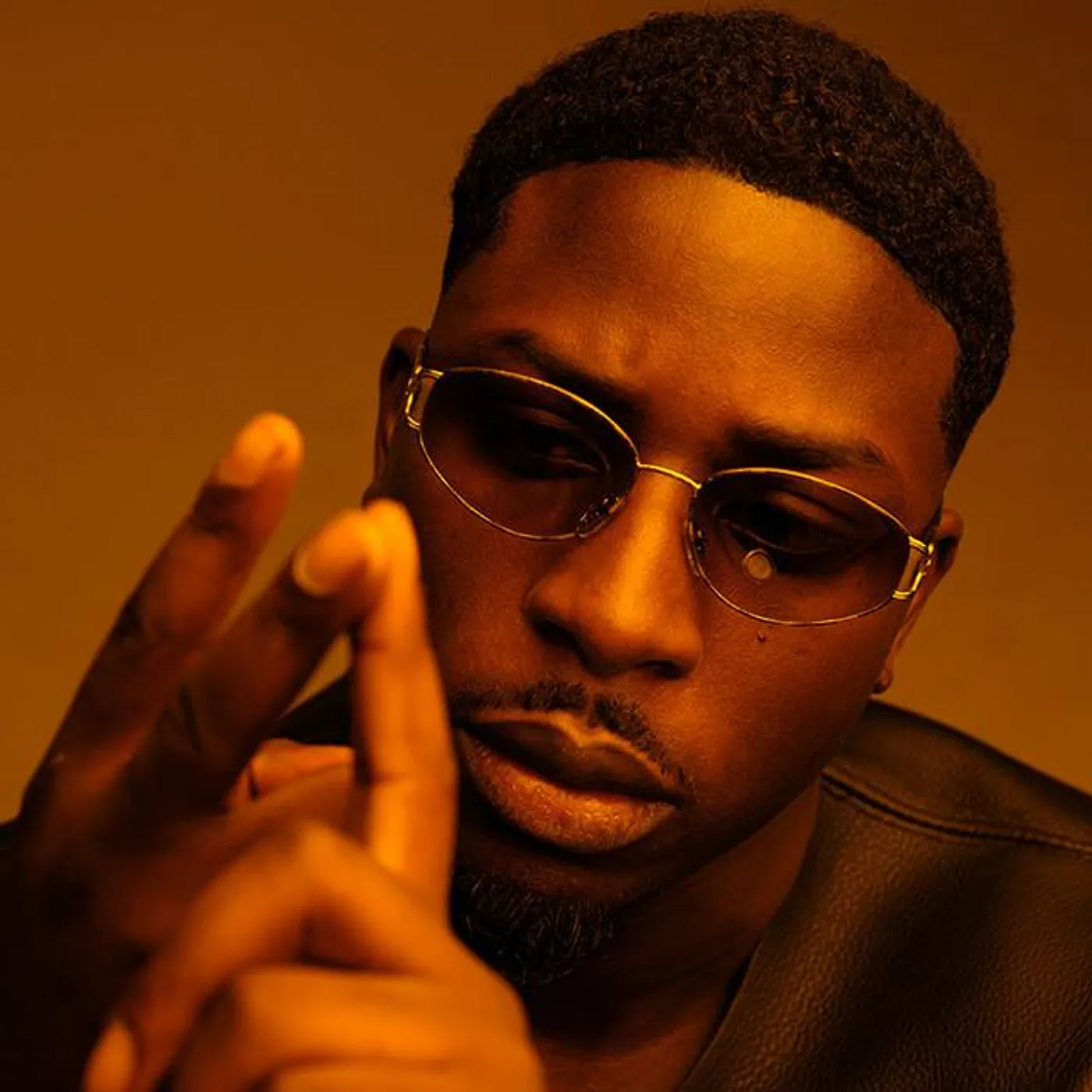 Norsacce Berlusconi Brand Page