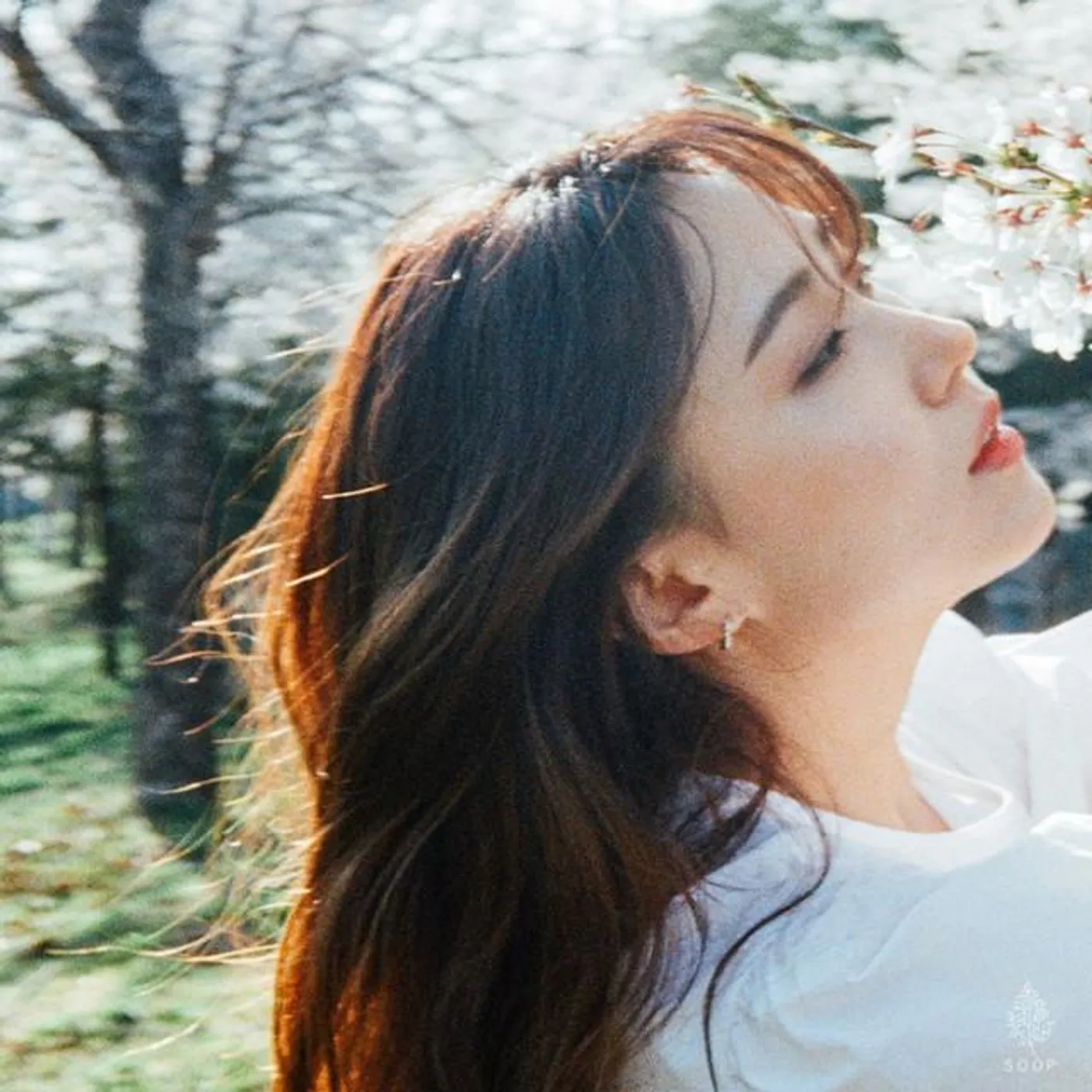 Norwegian Wood Brand Page