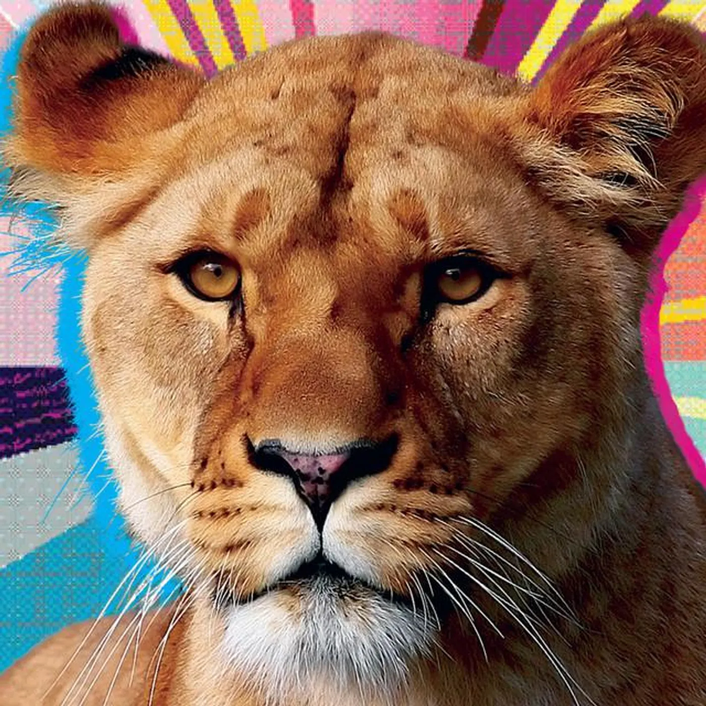 Natalie Portman's Shaved Head Brand Page