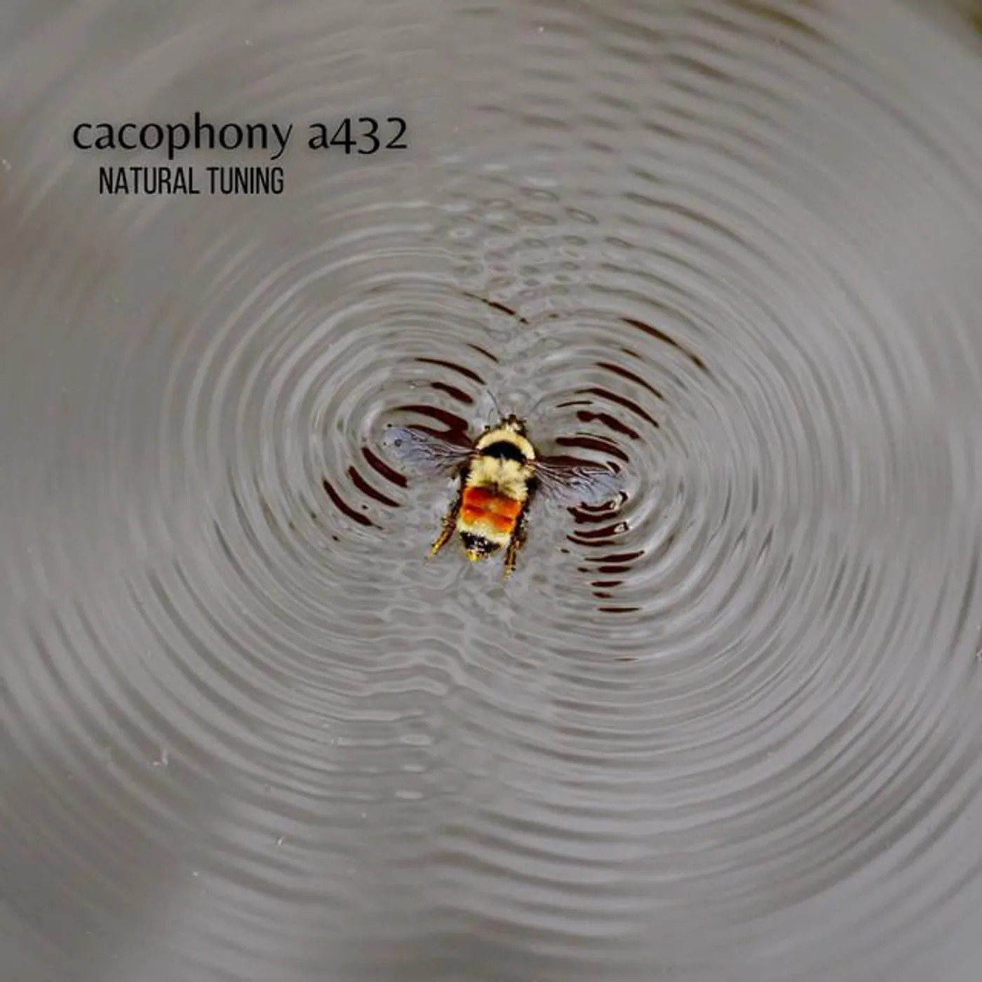 Natural Tuning Brand Page