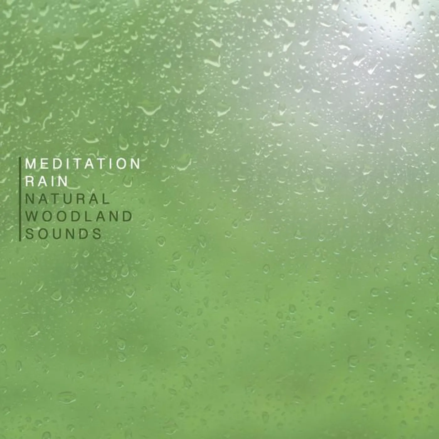 Natural Woodland Sounds