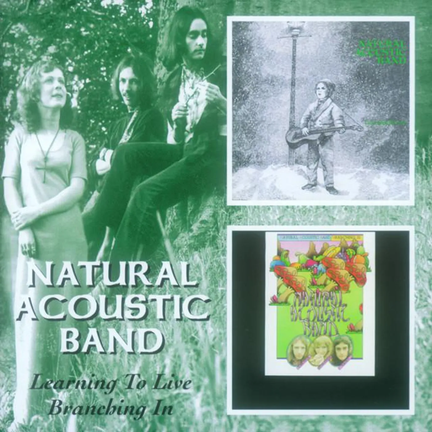 Natural Acoustic Band