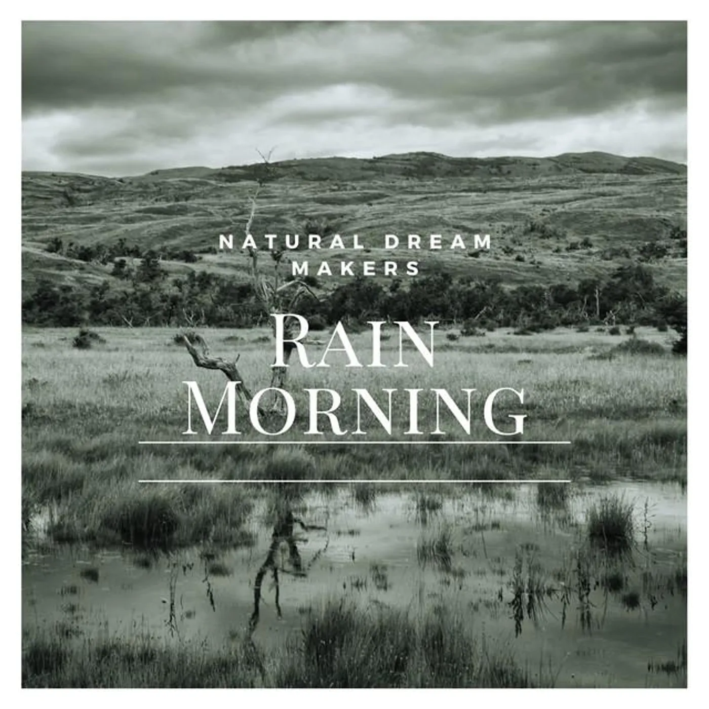 Natural Dream Makers Brand Page