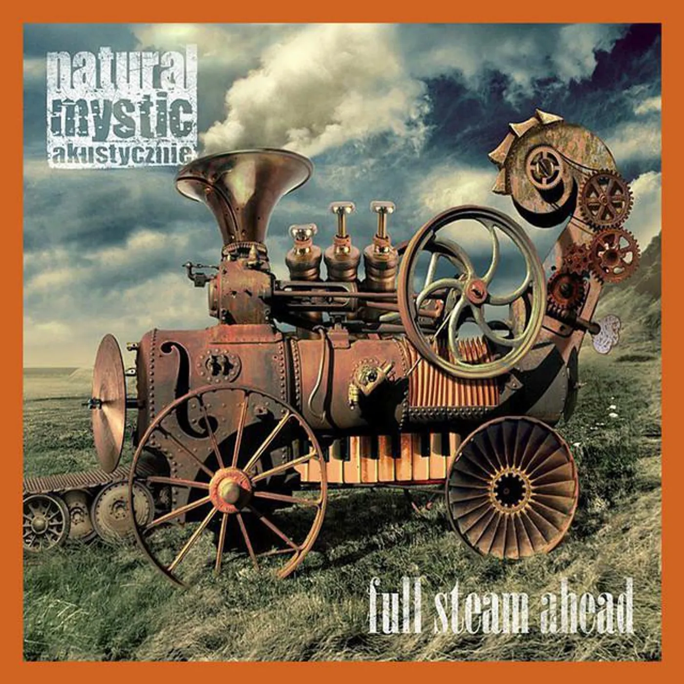 Natural Mystic Akustycznie Brand Page