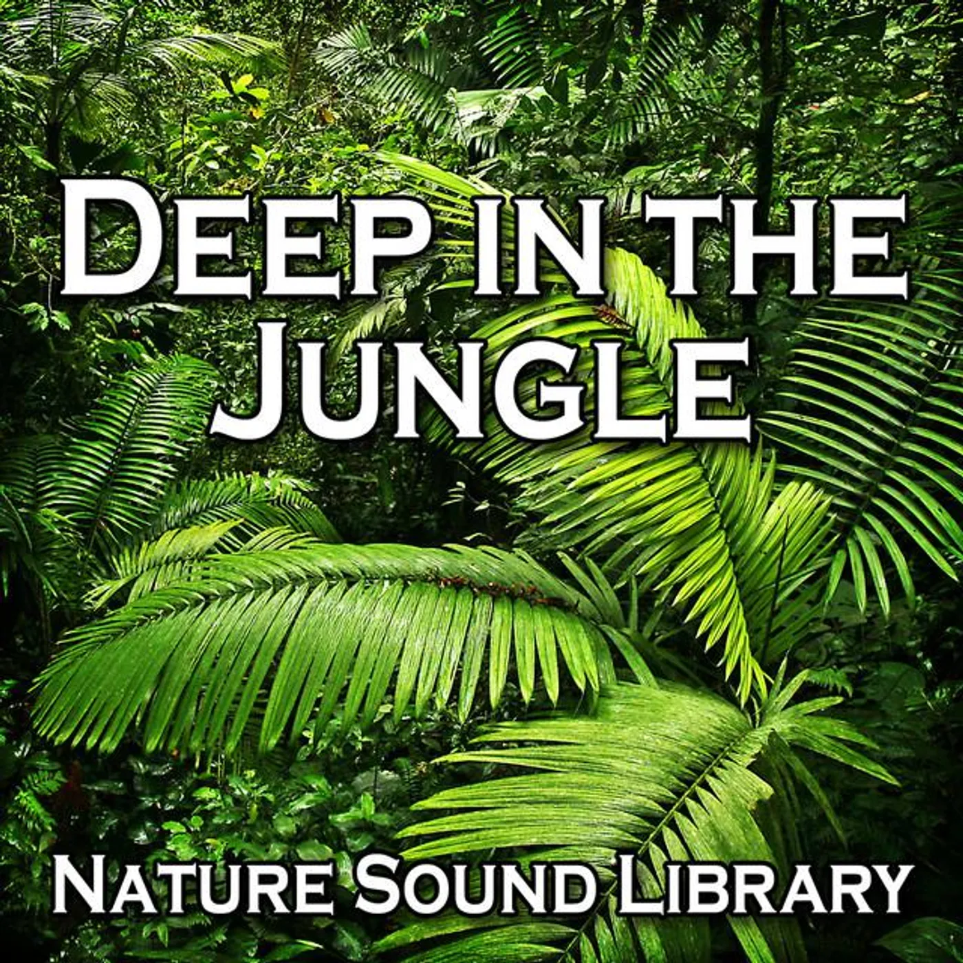 Nature Sound Library