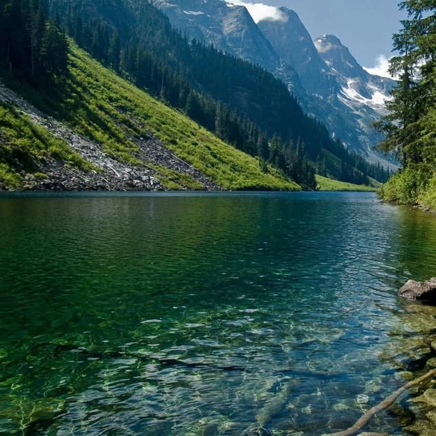 Nature Sounds Nature Music Brand Page