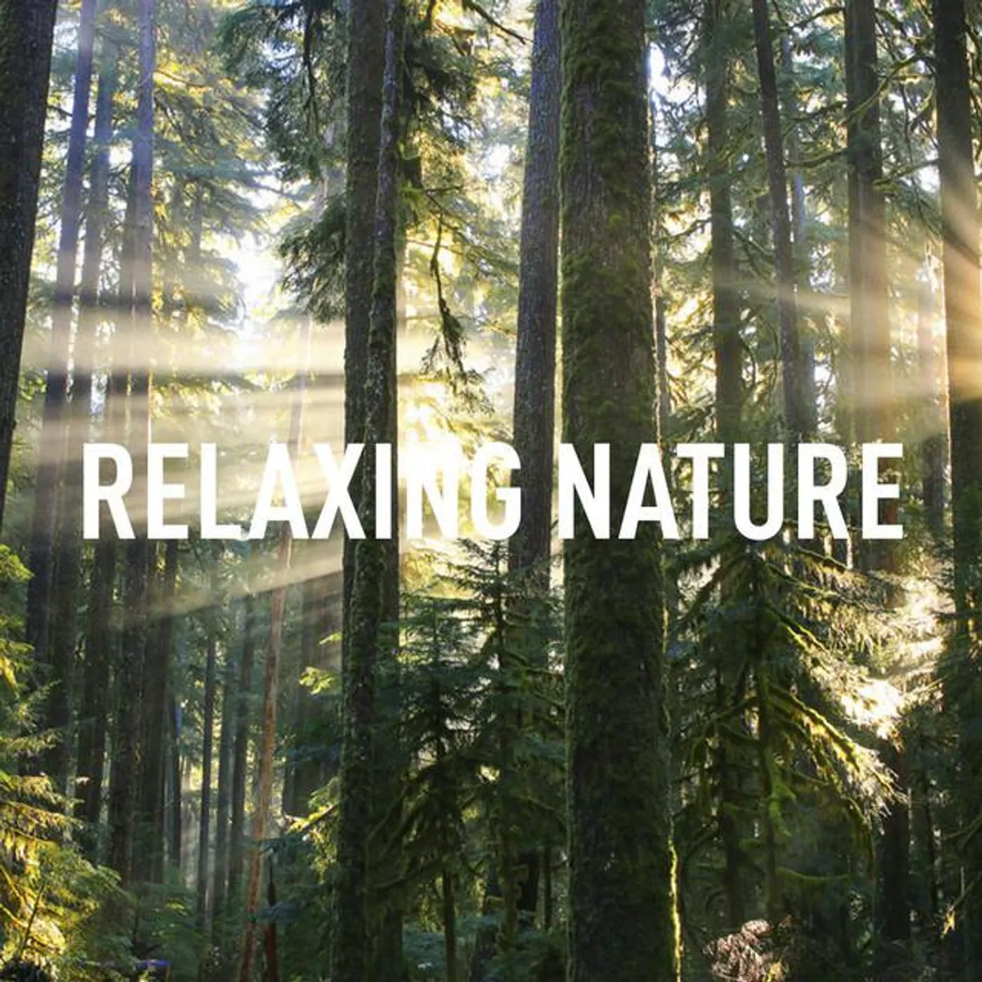 Nature Sounds Brand Page