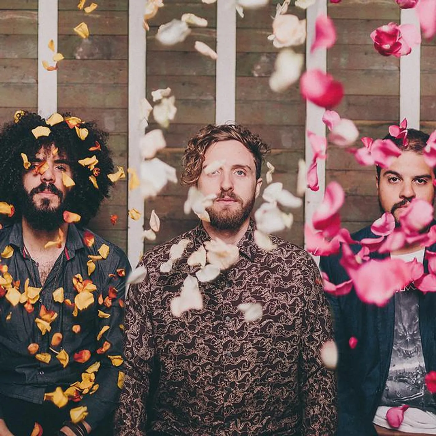 Naked Girls and Aeroplanes Brand Page