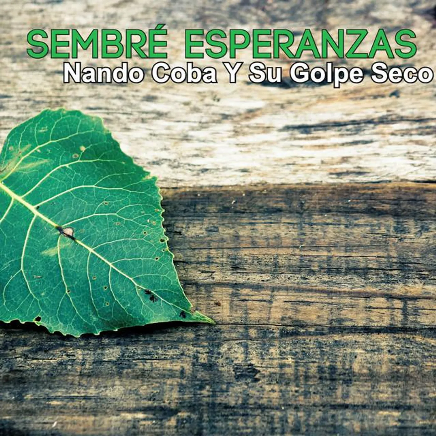 Nando Coba Y Su Golpe Seco Brand Page