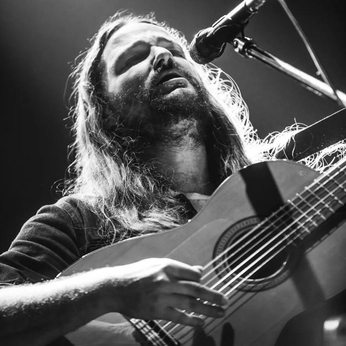 Nano Stern Brand Page