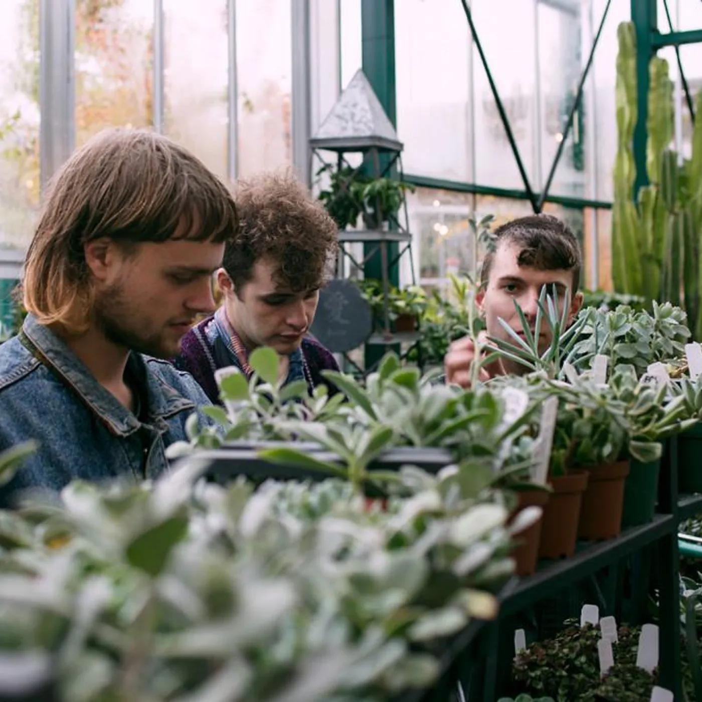 Naomi Punk Brand Page