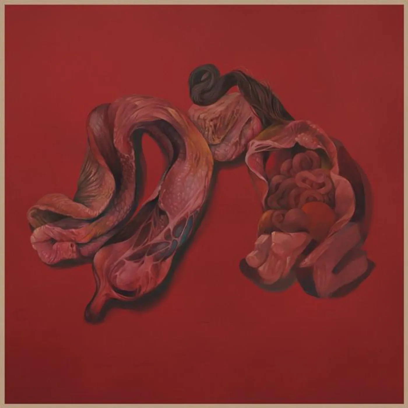 Narcosatanicos Brand Page