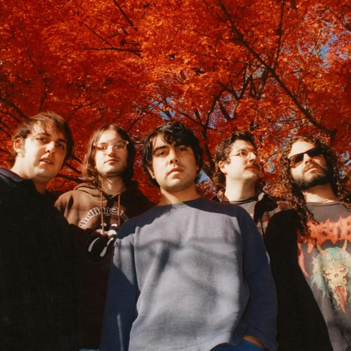 Narrow Head Brand Page