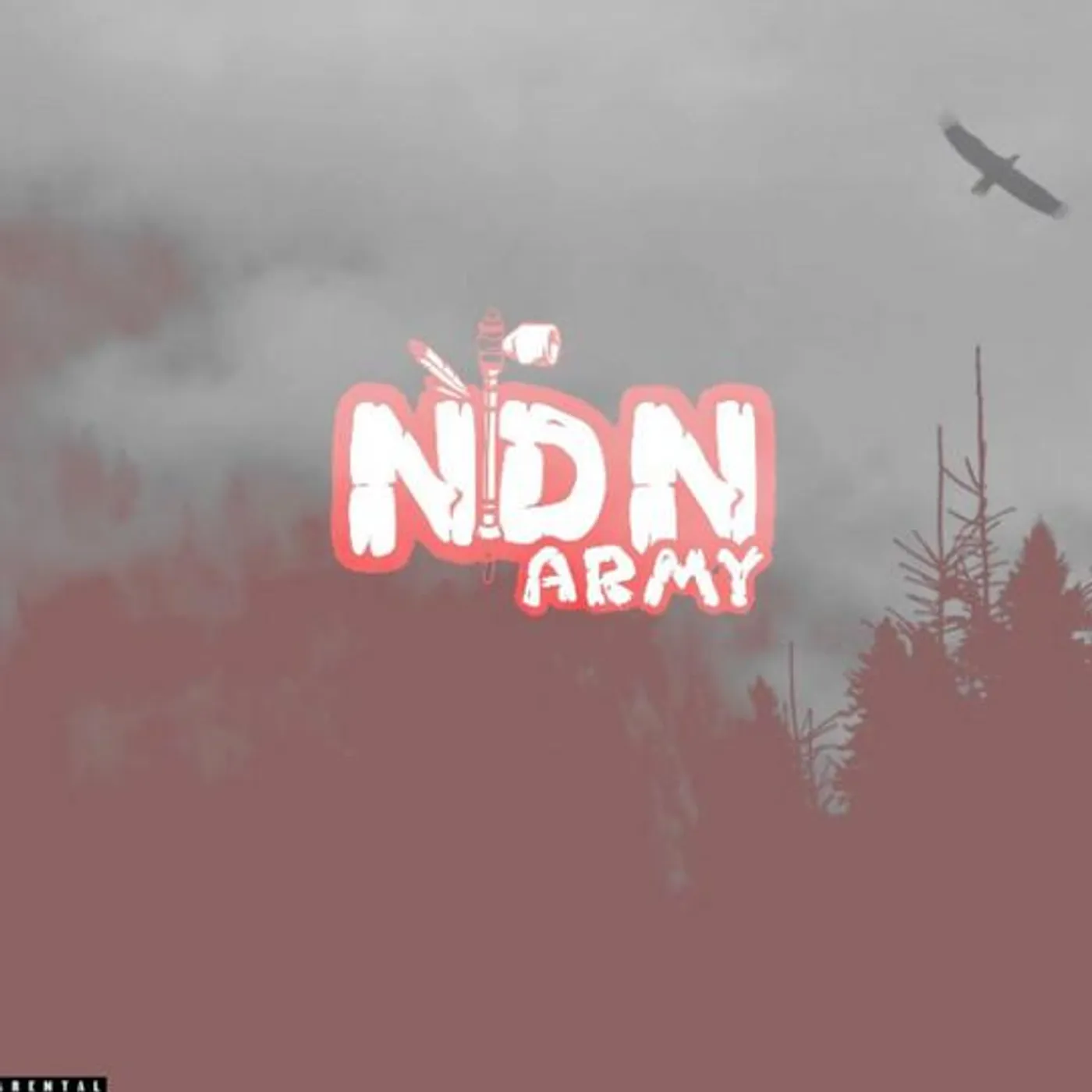 NDN Army