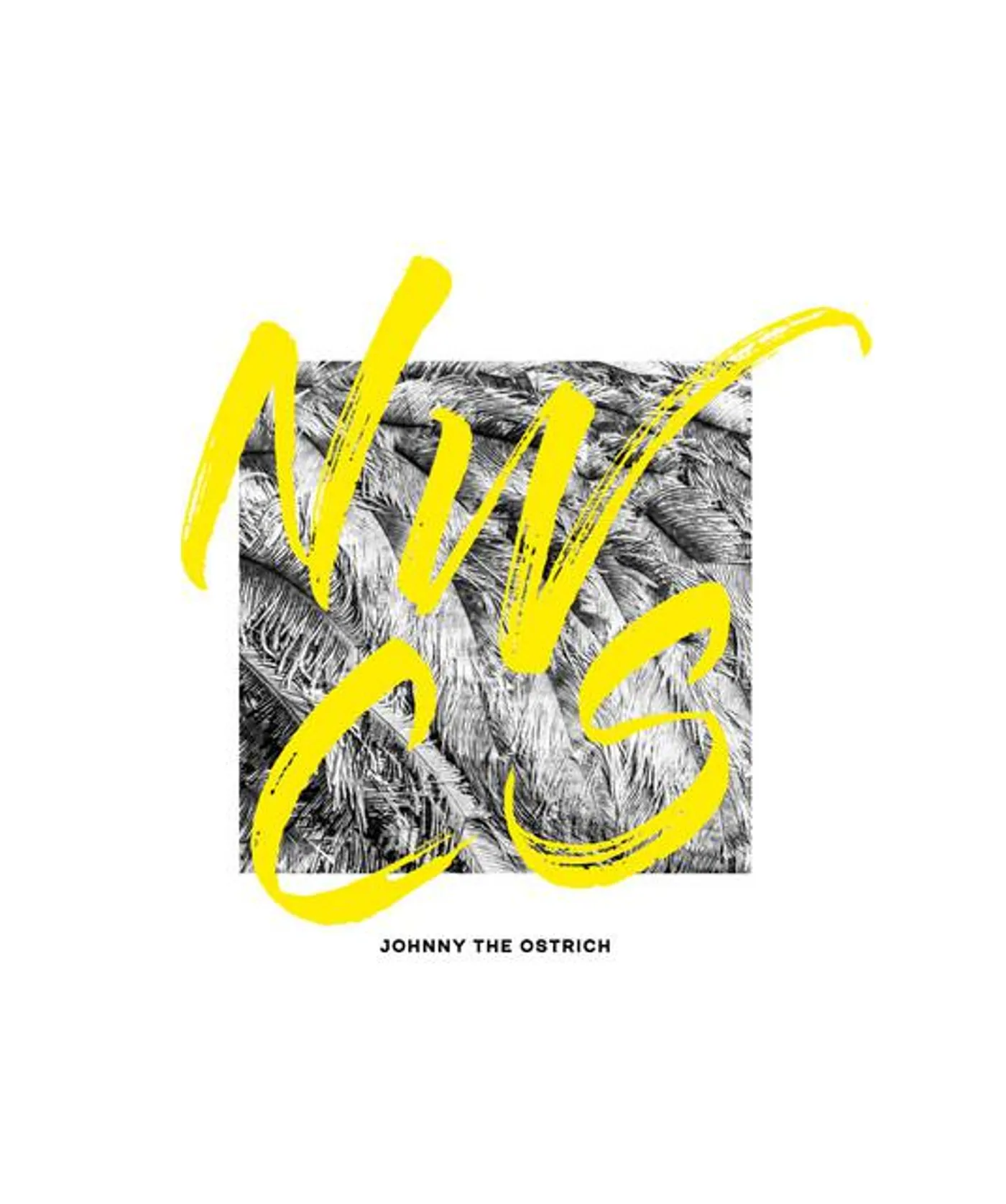 Neue Wiener Concert Schrammeln