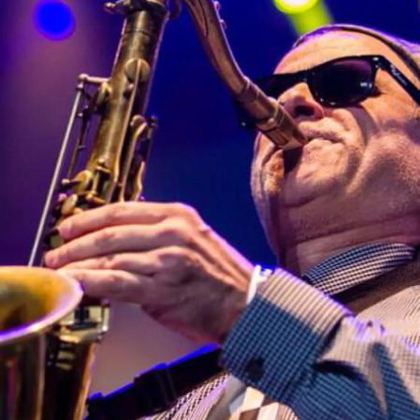 New York Ska-Jazz Ensemble Brand Page