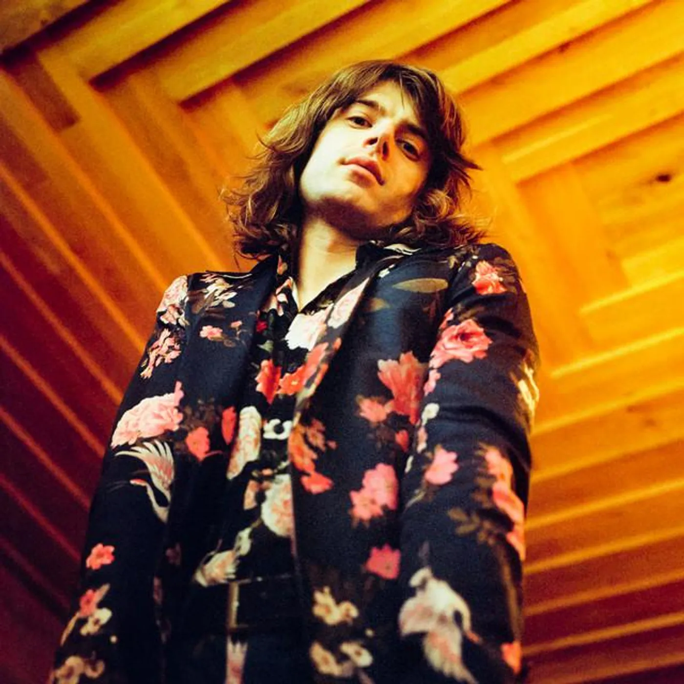 Neal Francis Brand Page