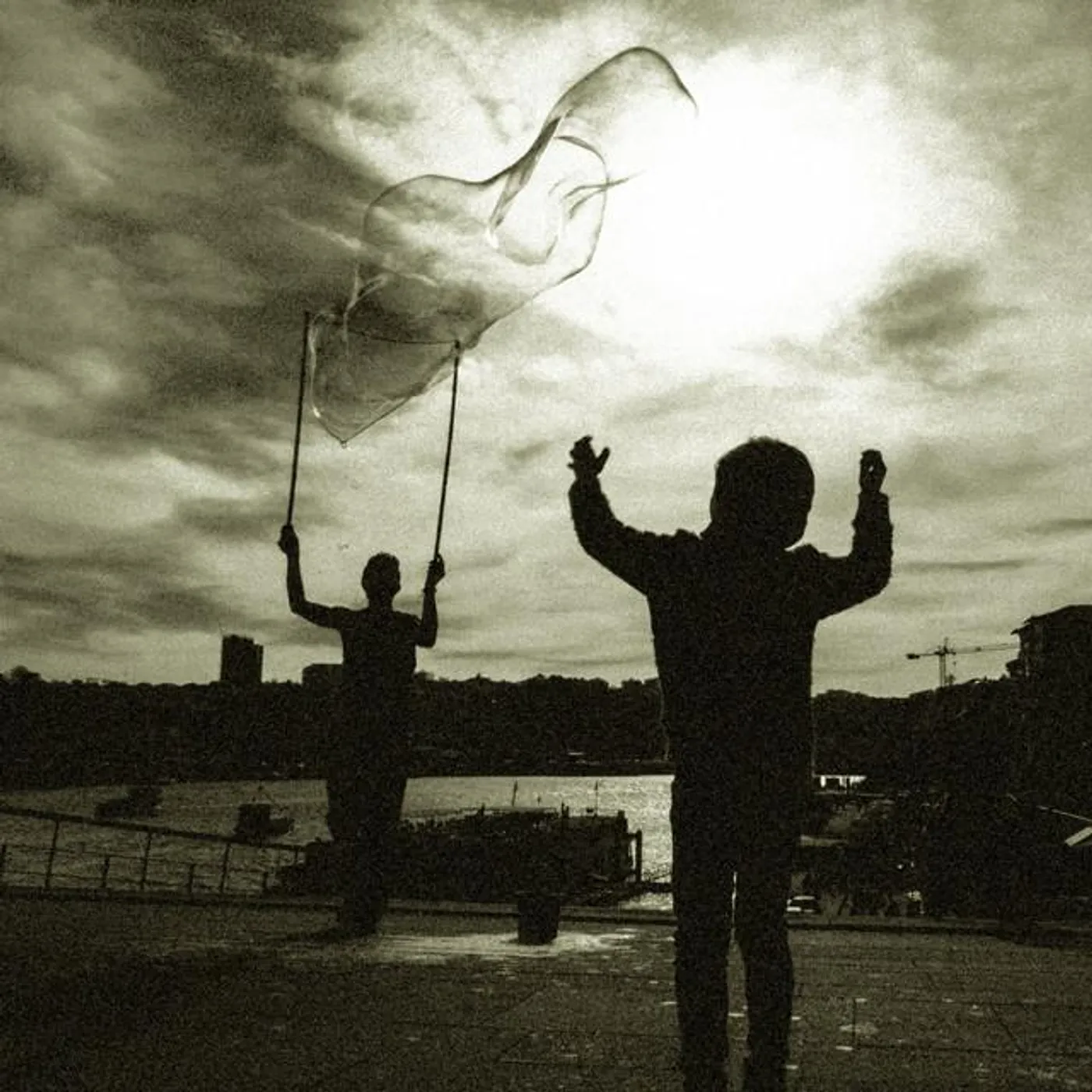 Nebelkrähe Brand Page