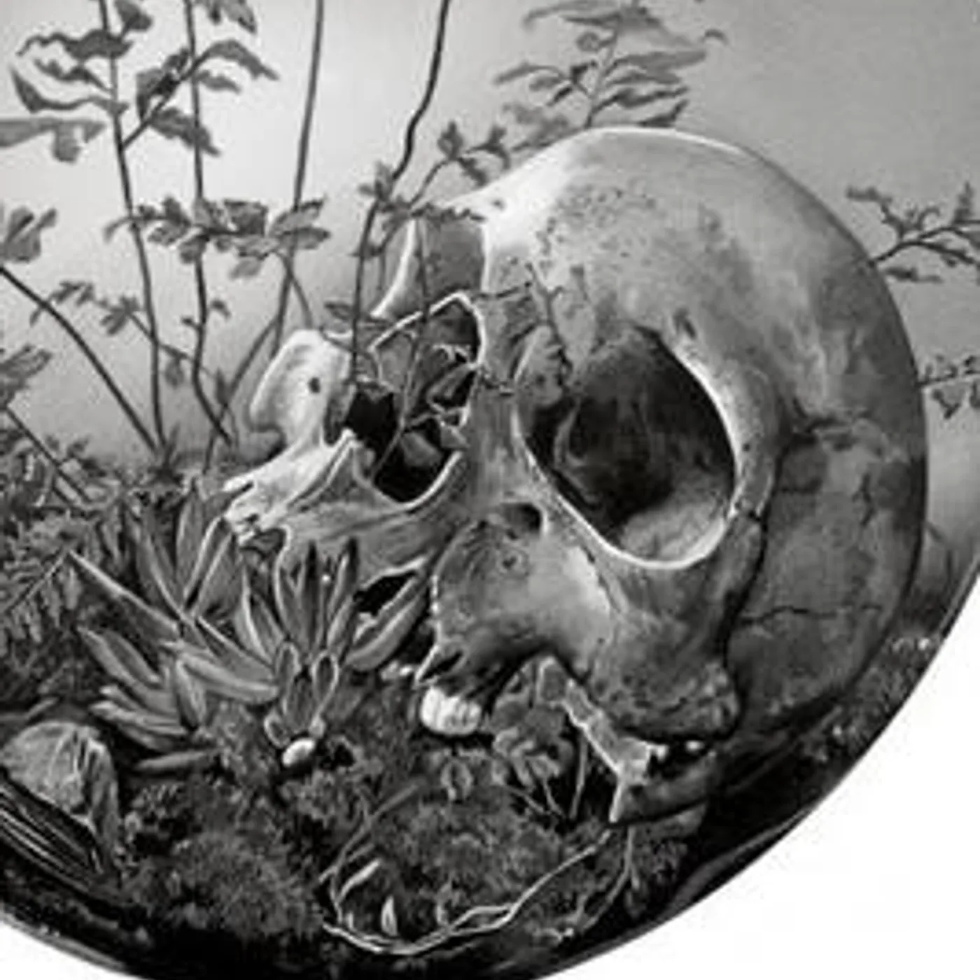 Nebula Drag Brand Page