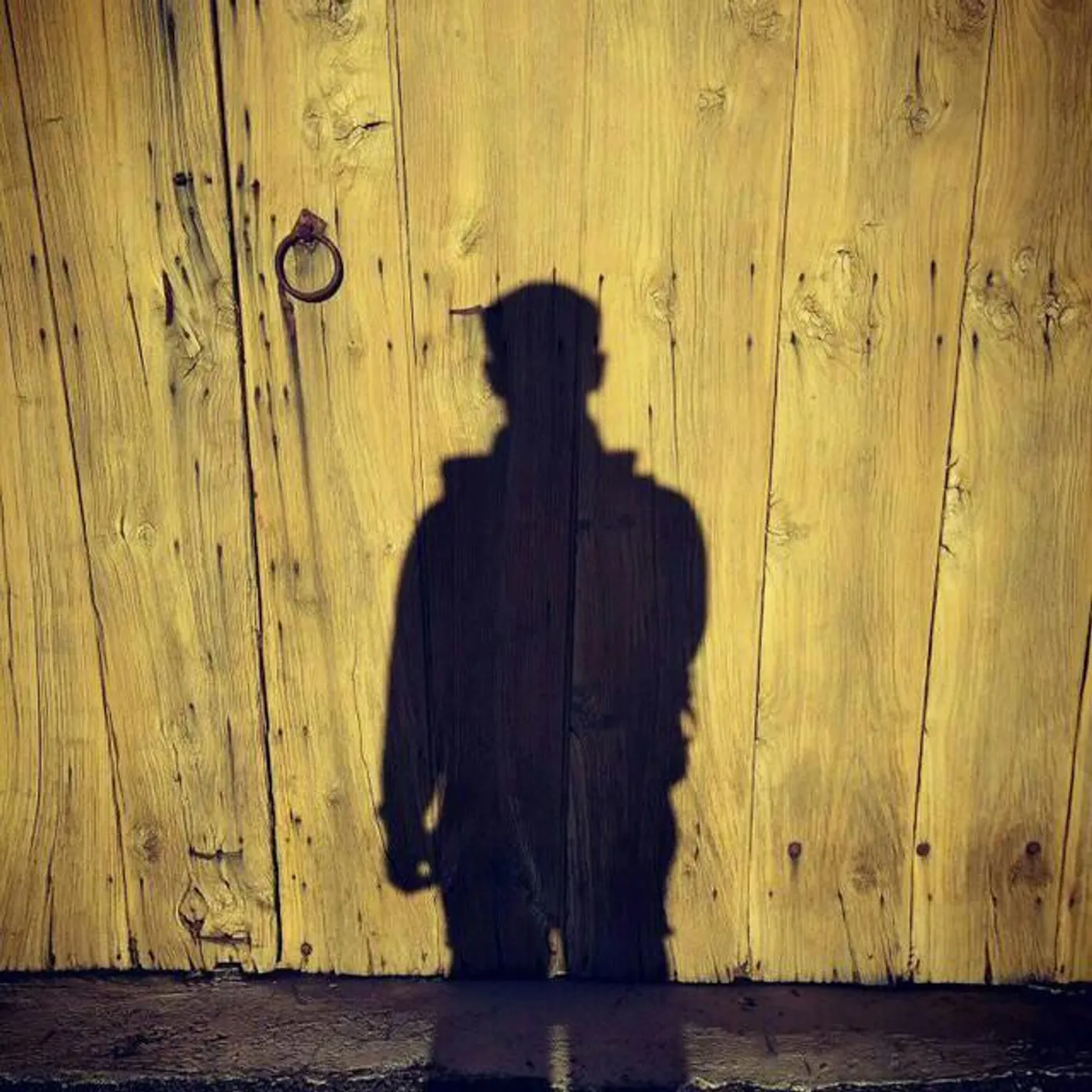 Nel Ventre Dell'Orsa