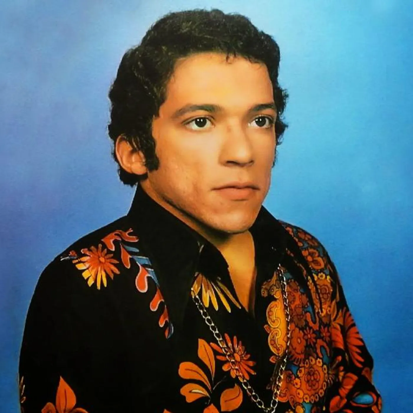 Nelson Ned Brand Page