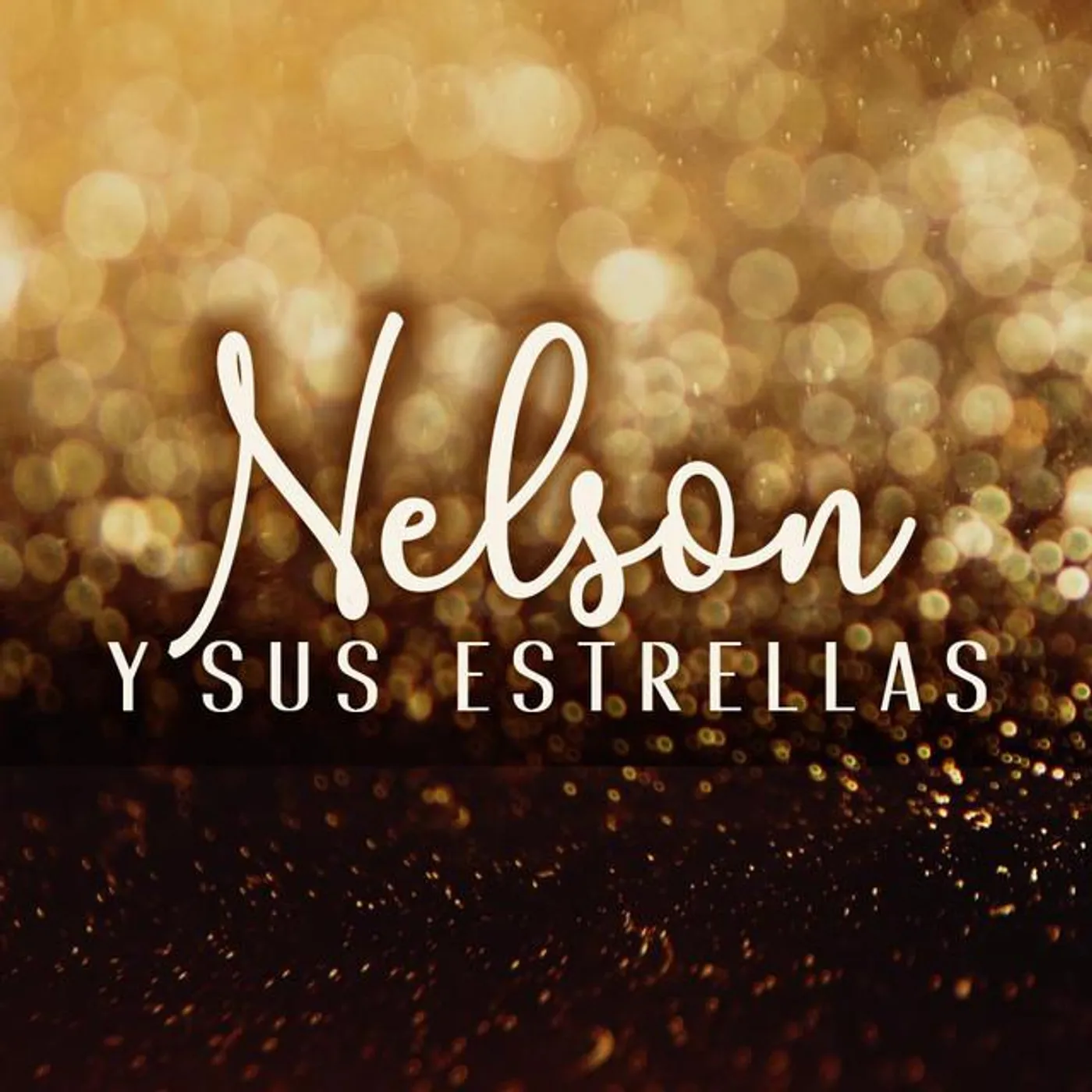Nelson Y Sus Estrellas Brand Page