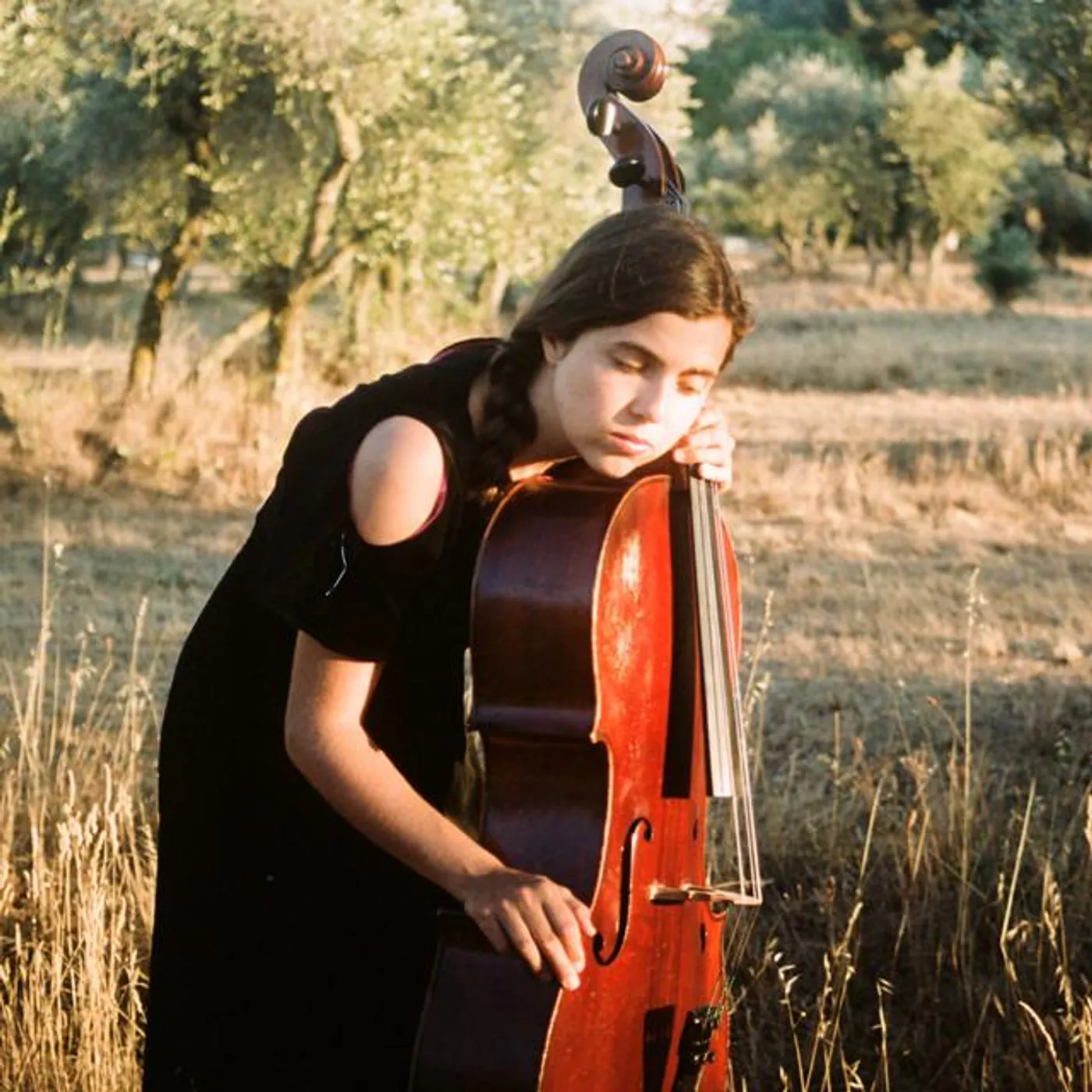 Dom La Nena Brand Page