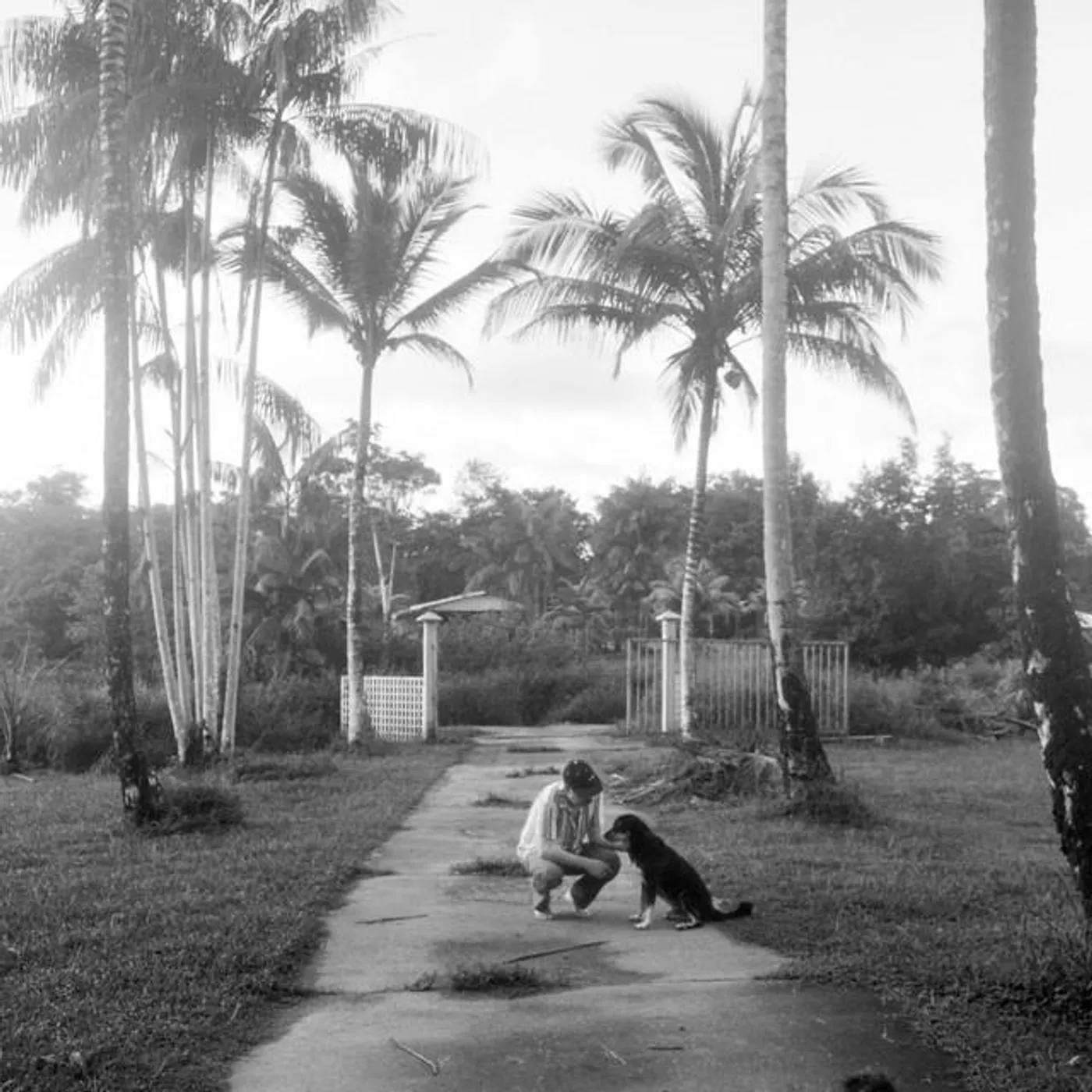 Nick Wheeldon Brand Page