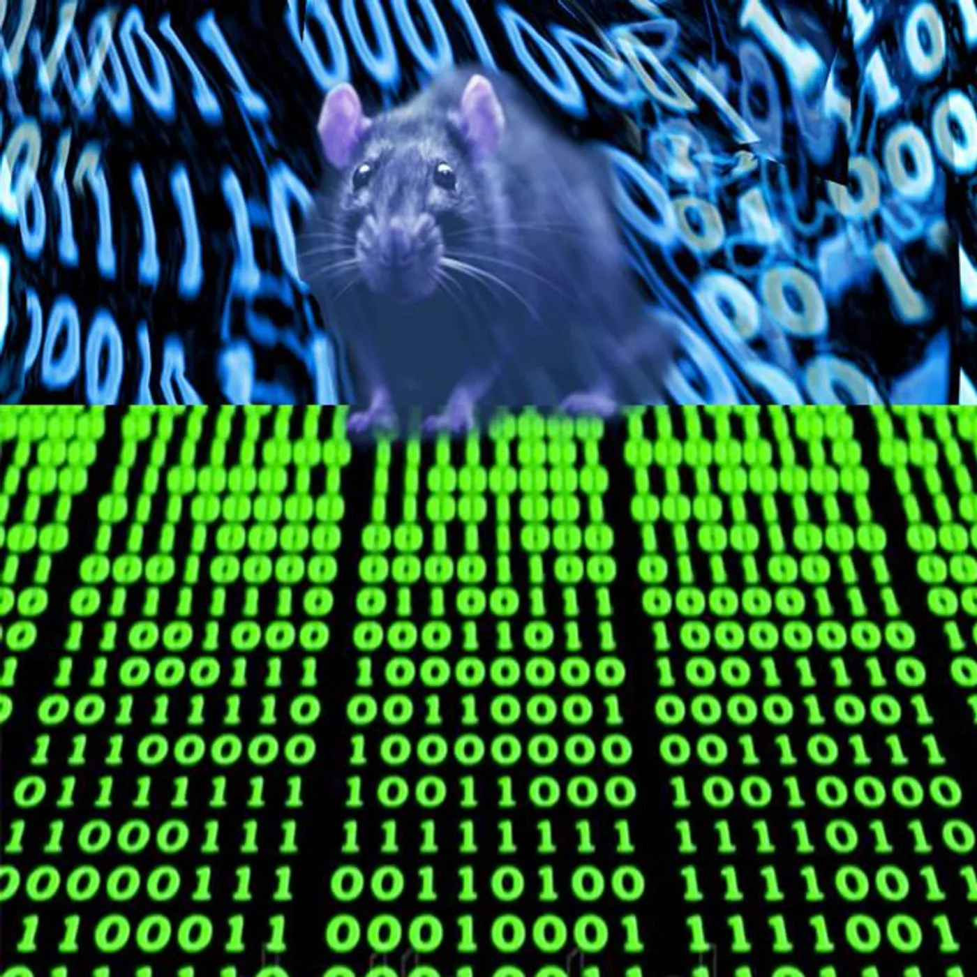 Nick Forté Brand Page