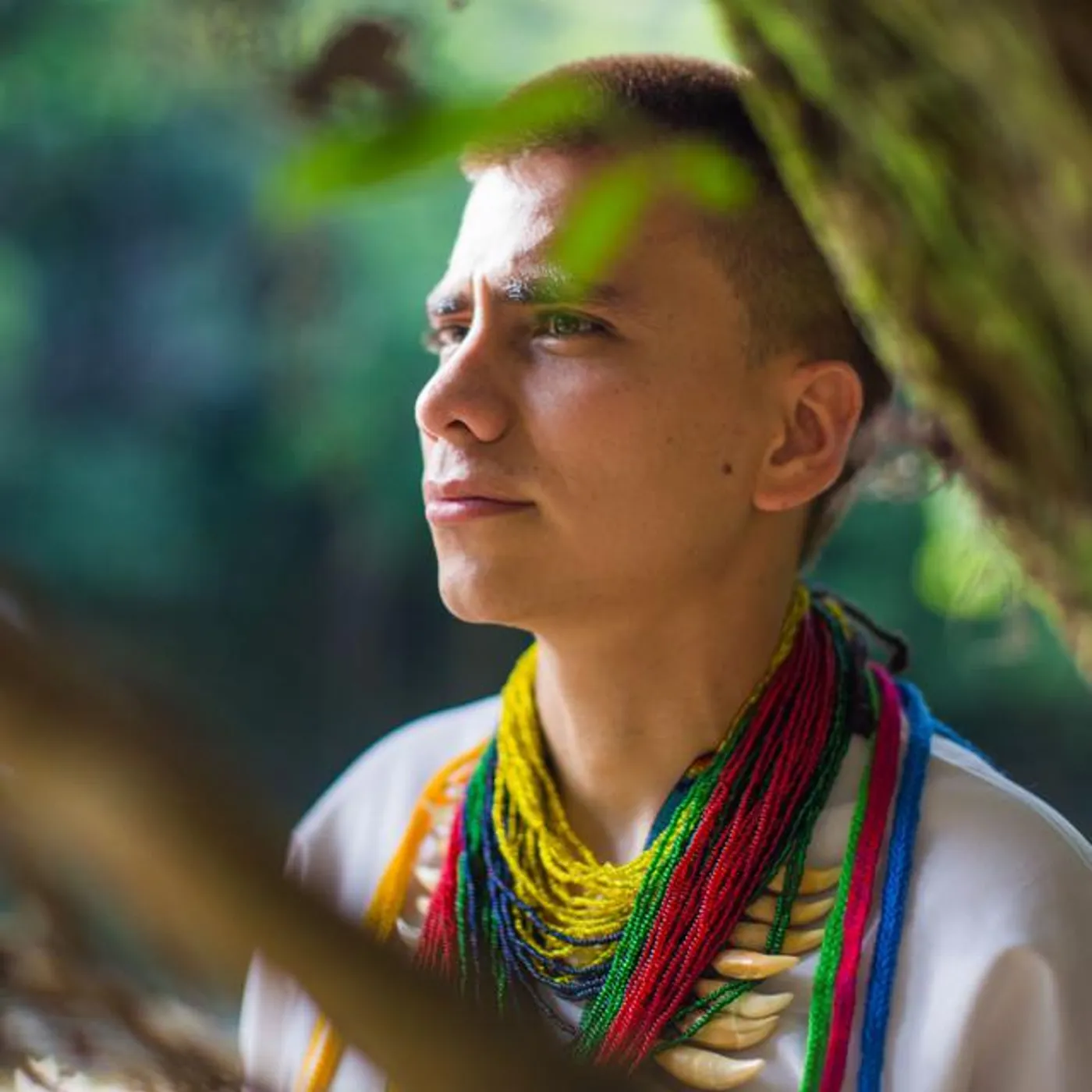 Nicolas Losada Rojas