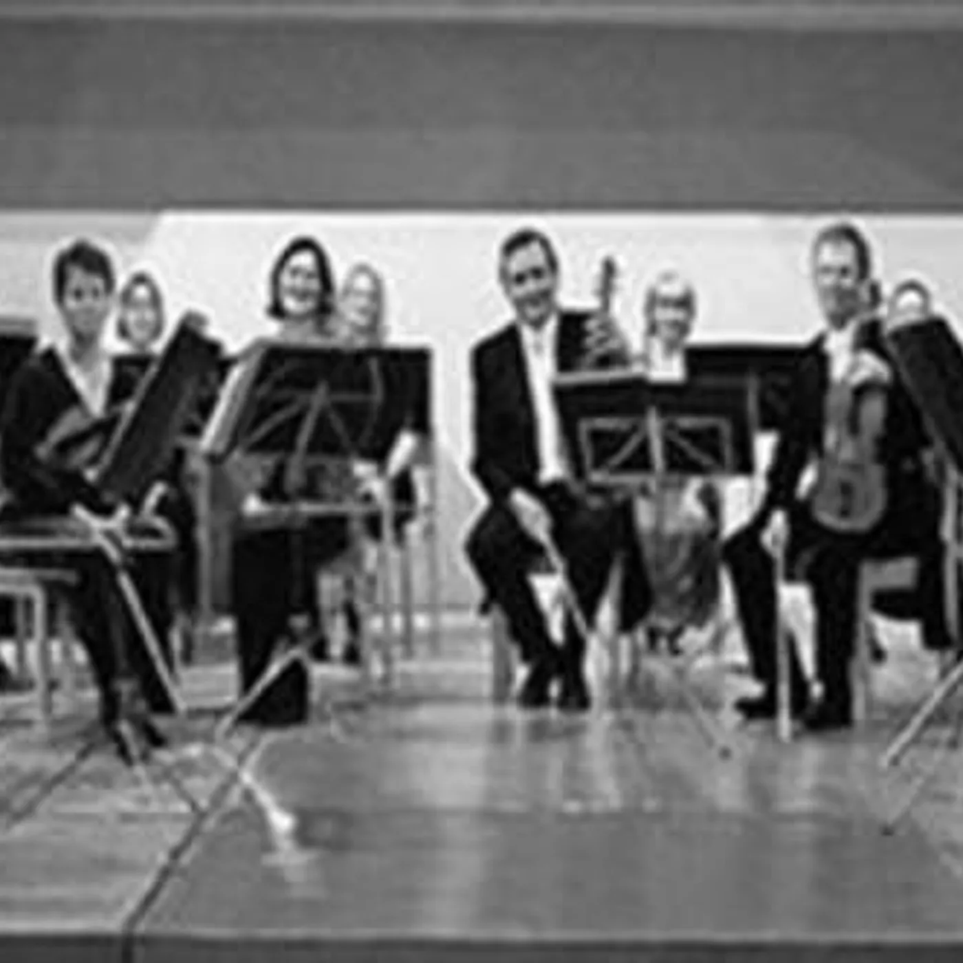 Nicolaus Esterhazy Sinfonia Brand Page