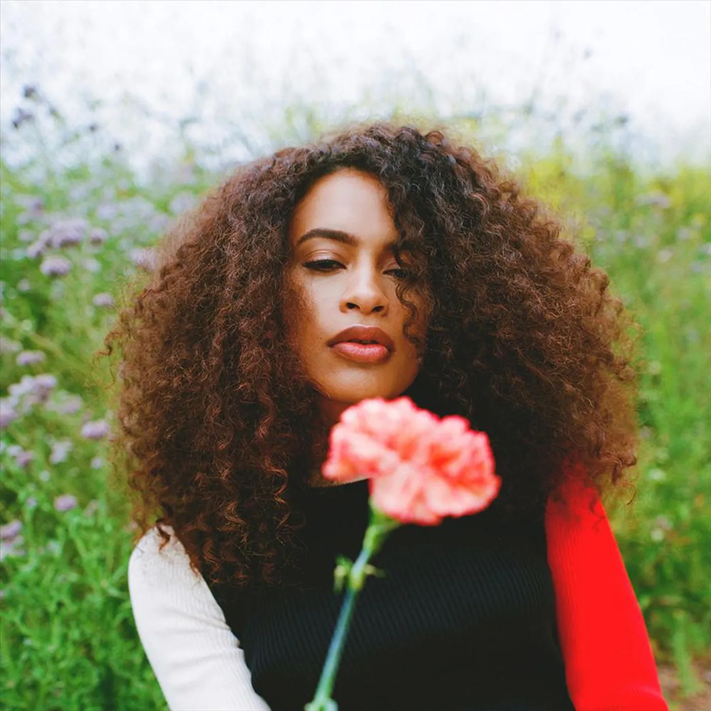 Nicole Bus Brand Page